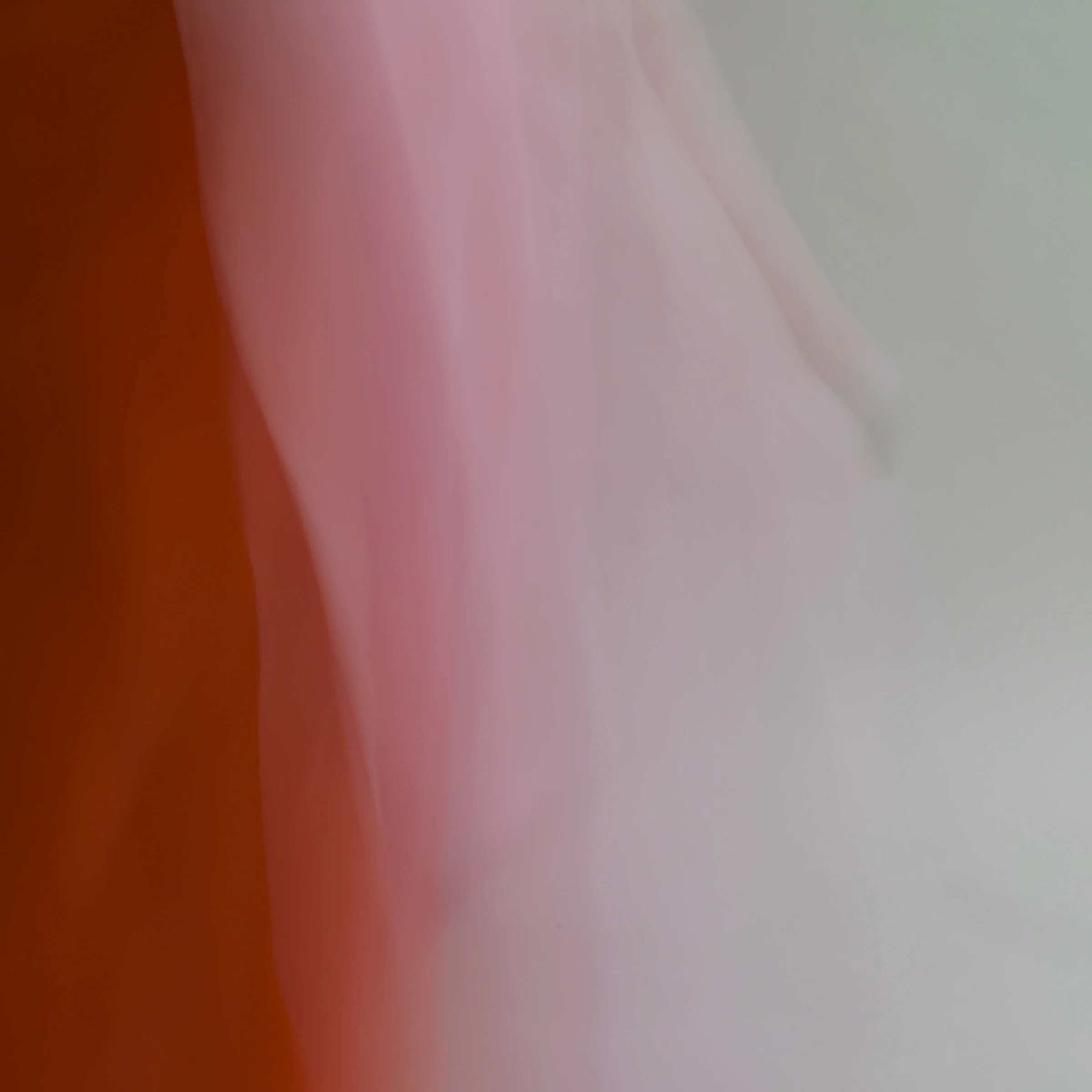 forms of things, 7 , 2014 20 x 20 in. Archival pigment print on Canson paper Edition of 5