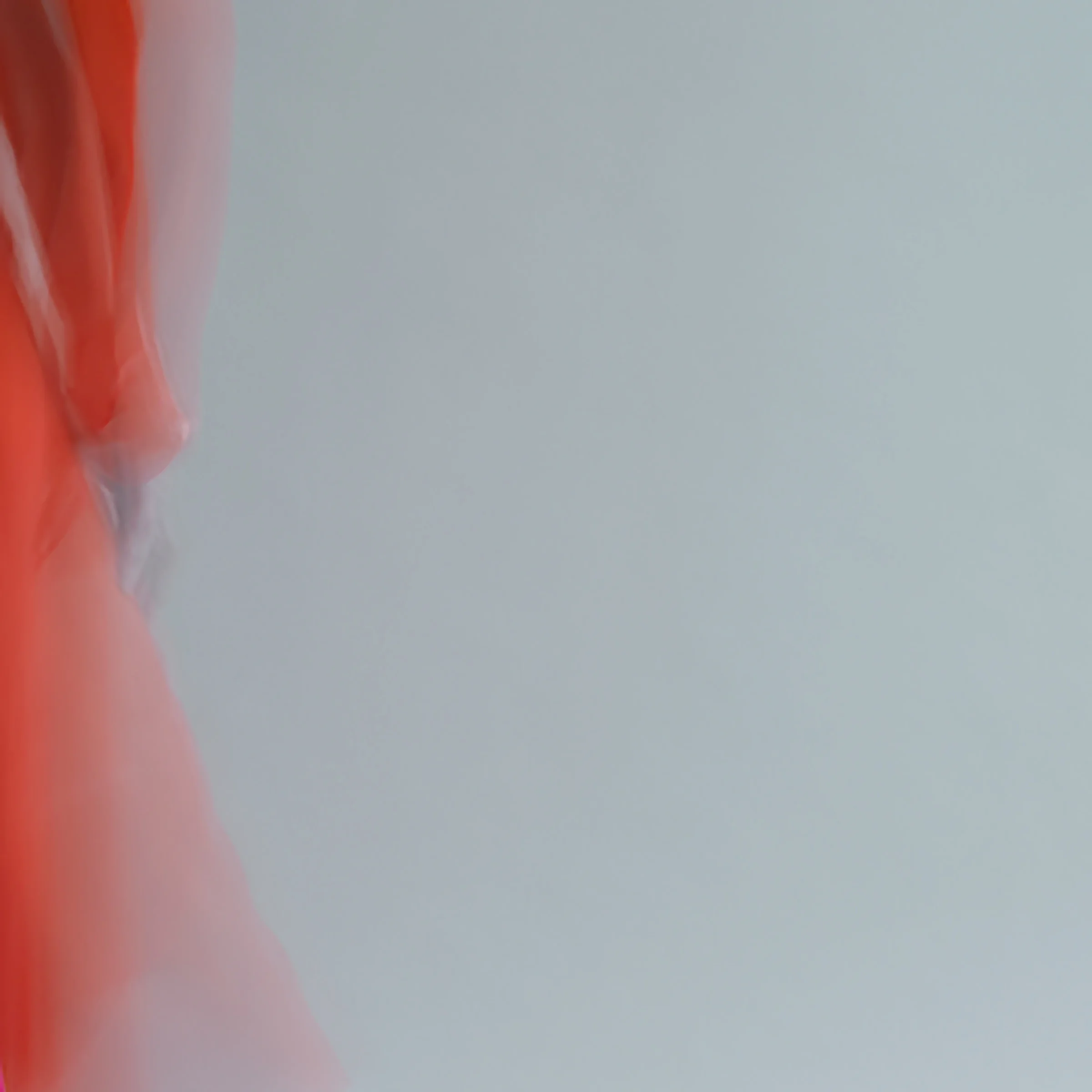 forms of things, 4 , 2014 20 x 20 in. Archival pigment print on Canson paper Edition of 5