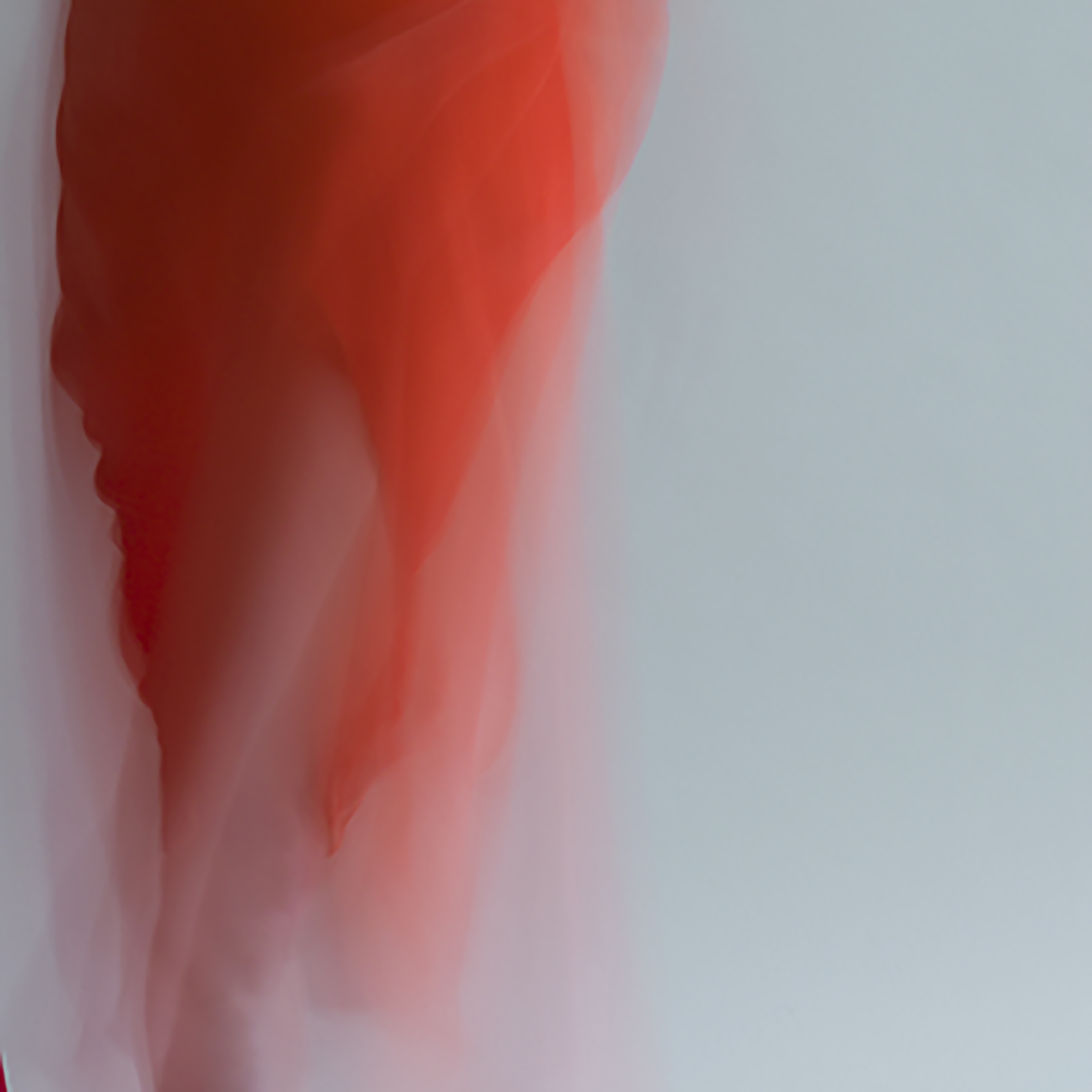 forms of things, 3 , 2014 20 x 20 in. Archival pigment print on Canson paper Edition of 5