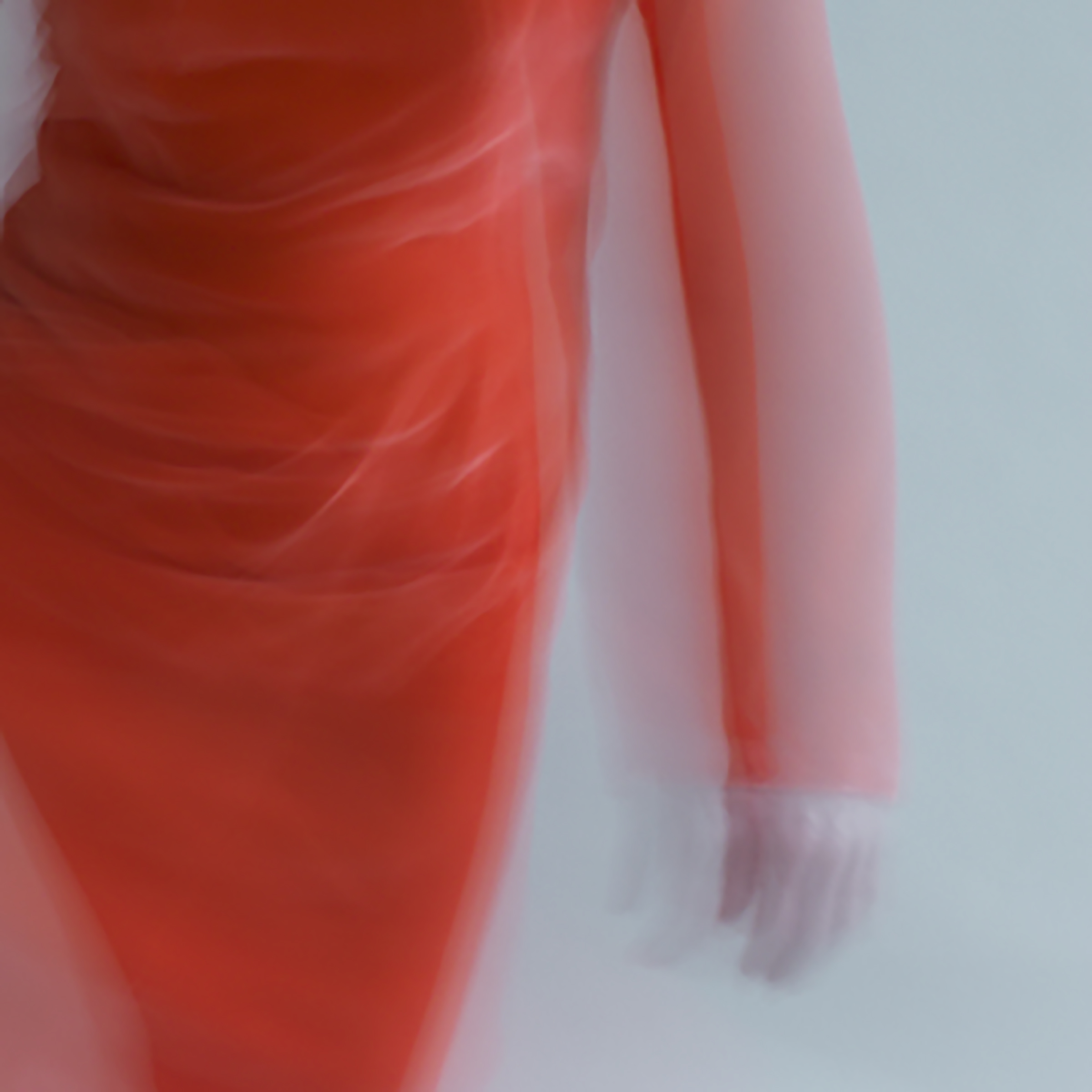 forms of things, 1 , 2014 20 x 20 in. Archival pigment print on Canson paper Edition of 5
