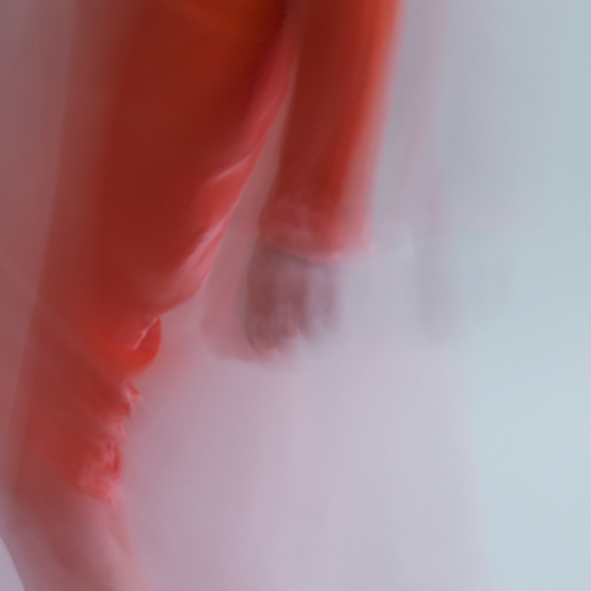 forms of things, 2 , 2014 20 x 20 in. Archival pigment print on Canson paper Edition of 5