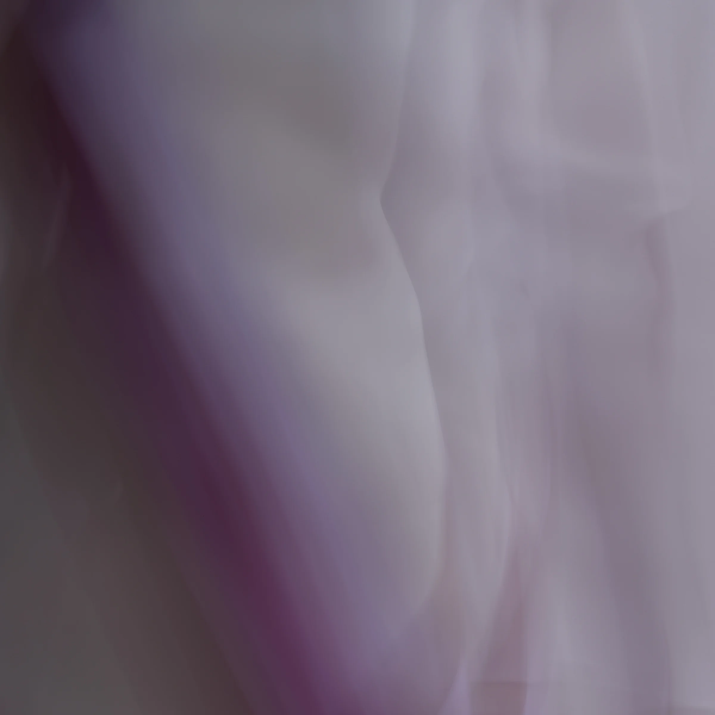 and the poet, 2, 2014 20 x 20 in. Archival pigment print on Canson paper Edition of 5