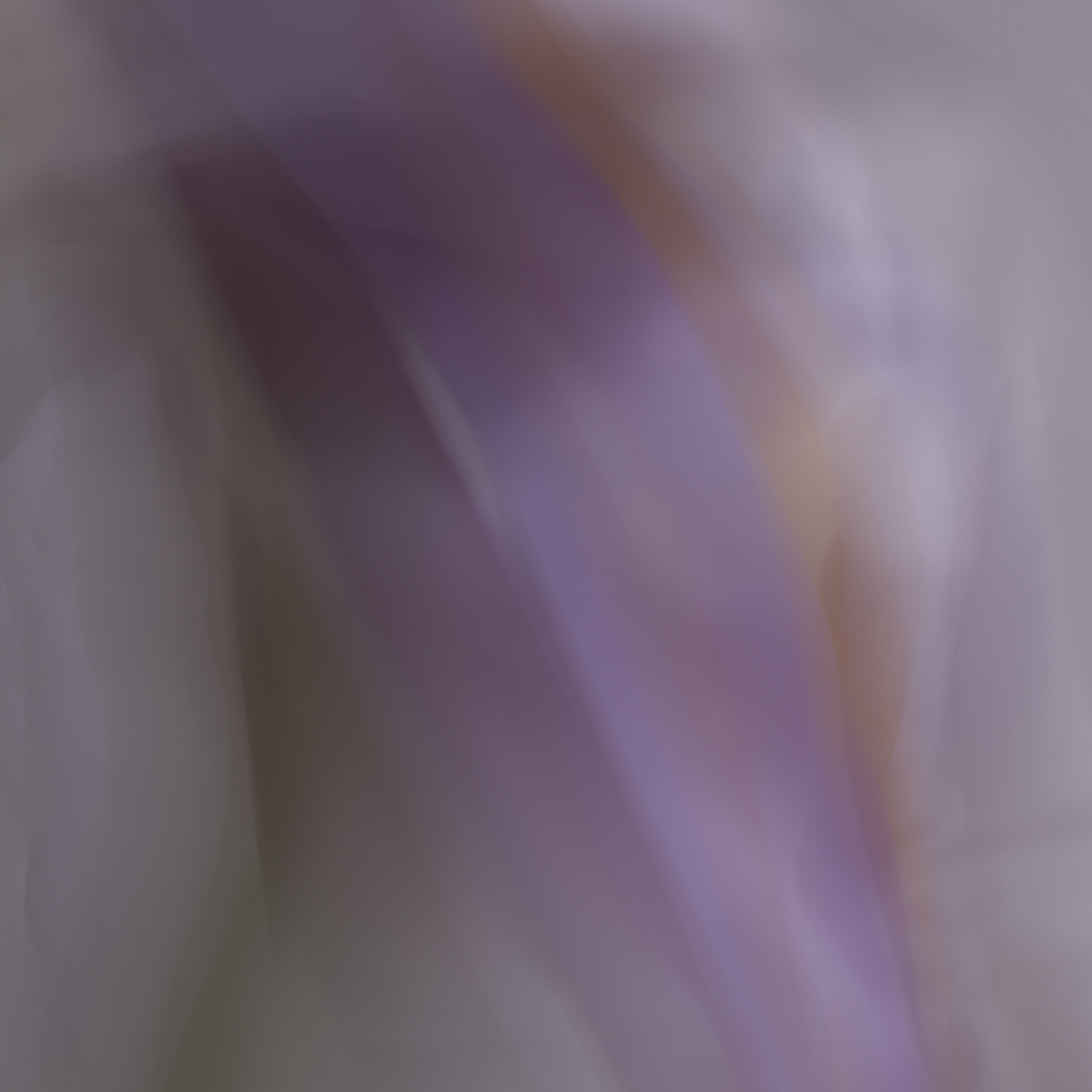 and the poet, 1, 2014 20 x 20 in. Archival pigment print on Canson paper Edition of 5
