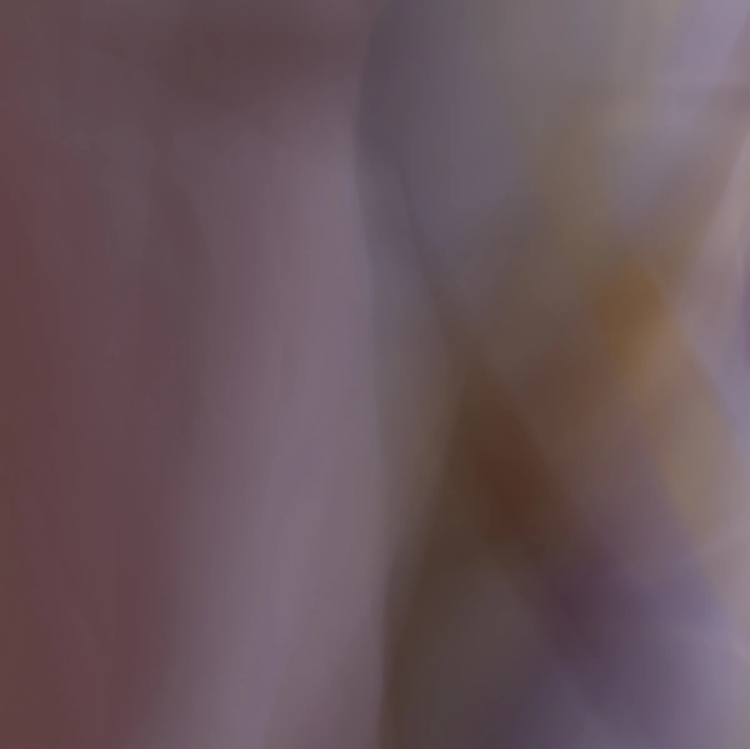 and the poet, 8, 2014 20 x 20 in. Archival pigment print on Canson paper Edition of 5
