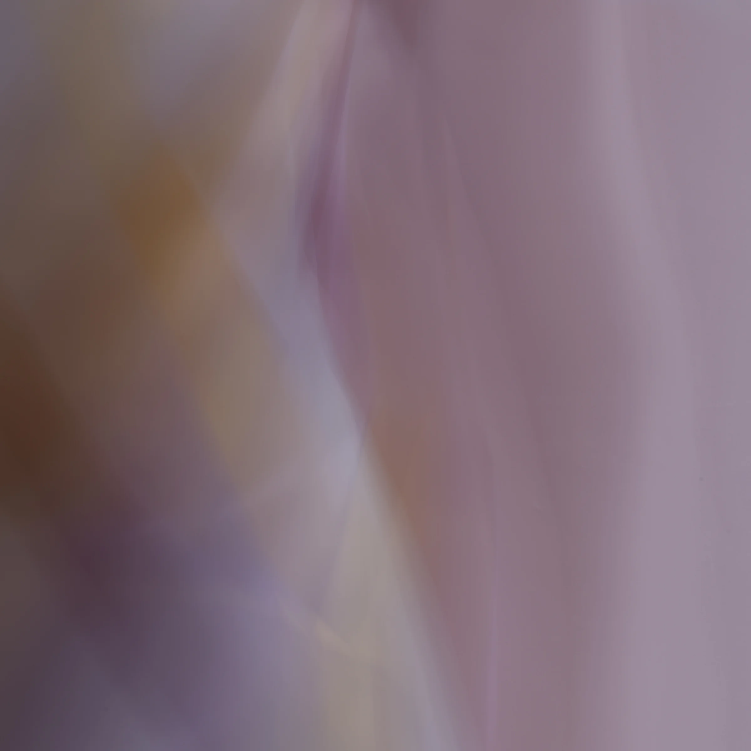 and the poet, 9, 2014 20 x 20 in. Archival pigment print on Canson paper Edition of 5