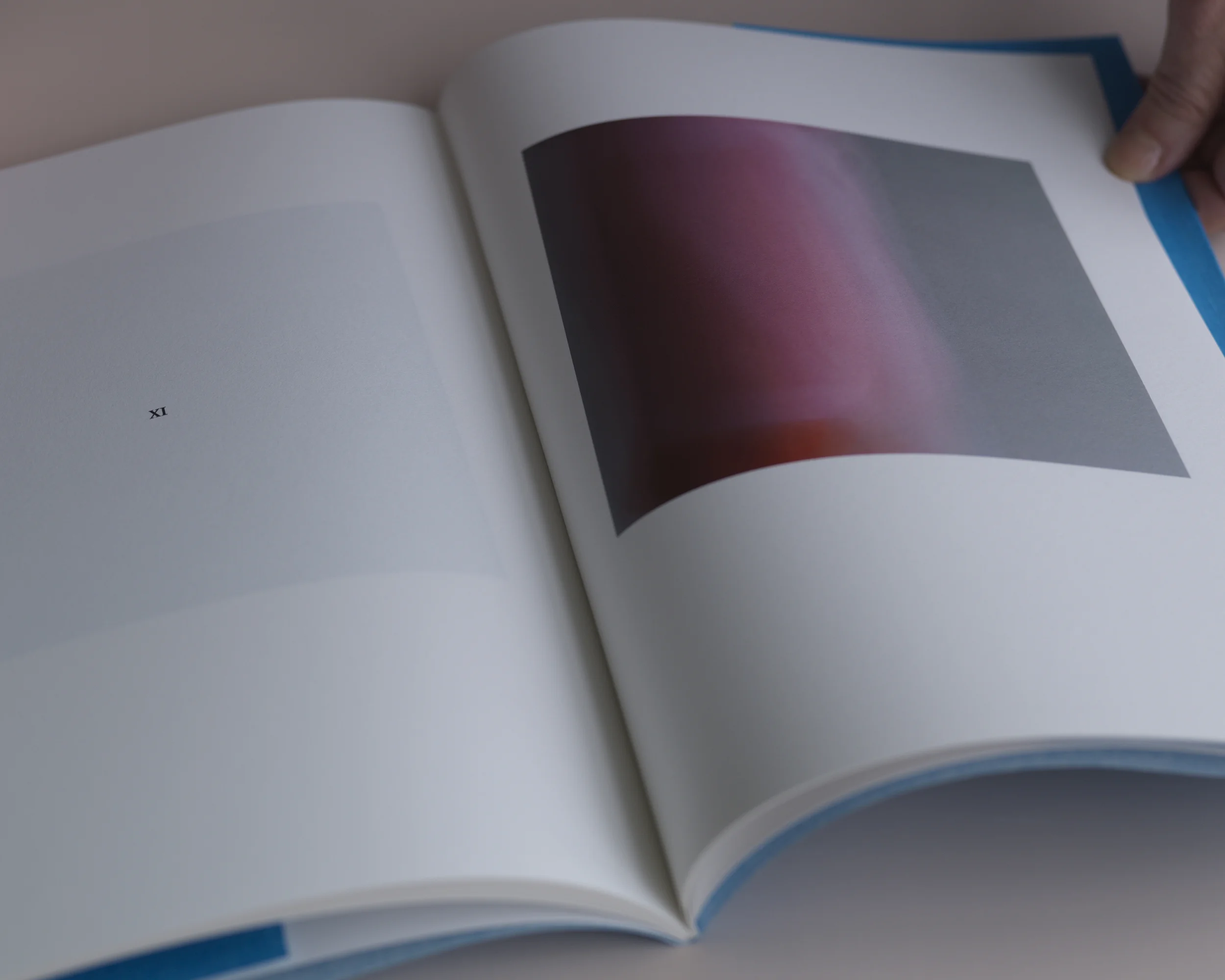 Still Life_0120.jpg