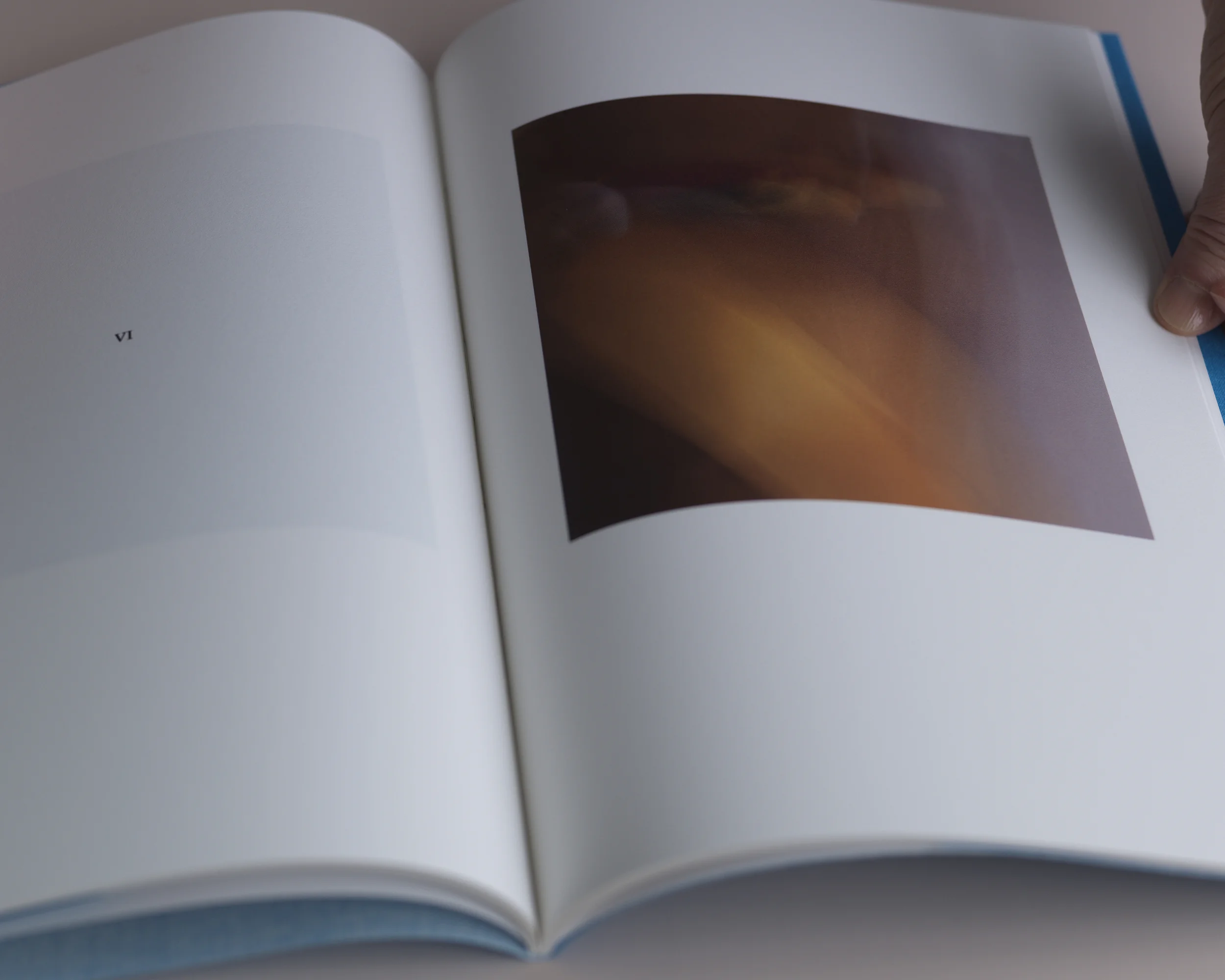 Still Life_0125.jpg