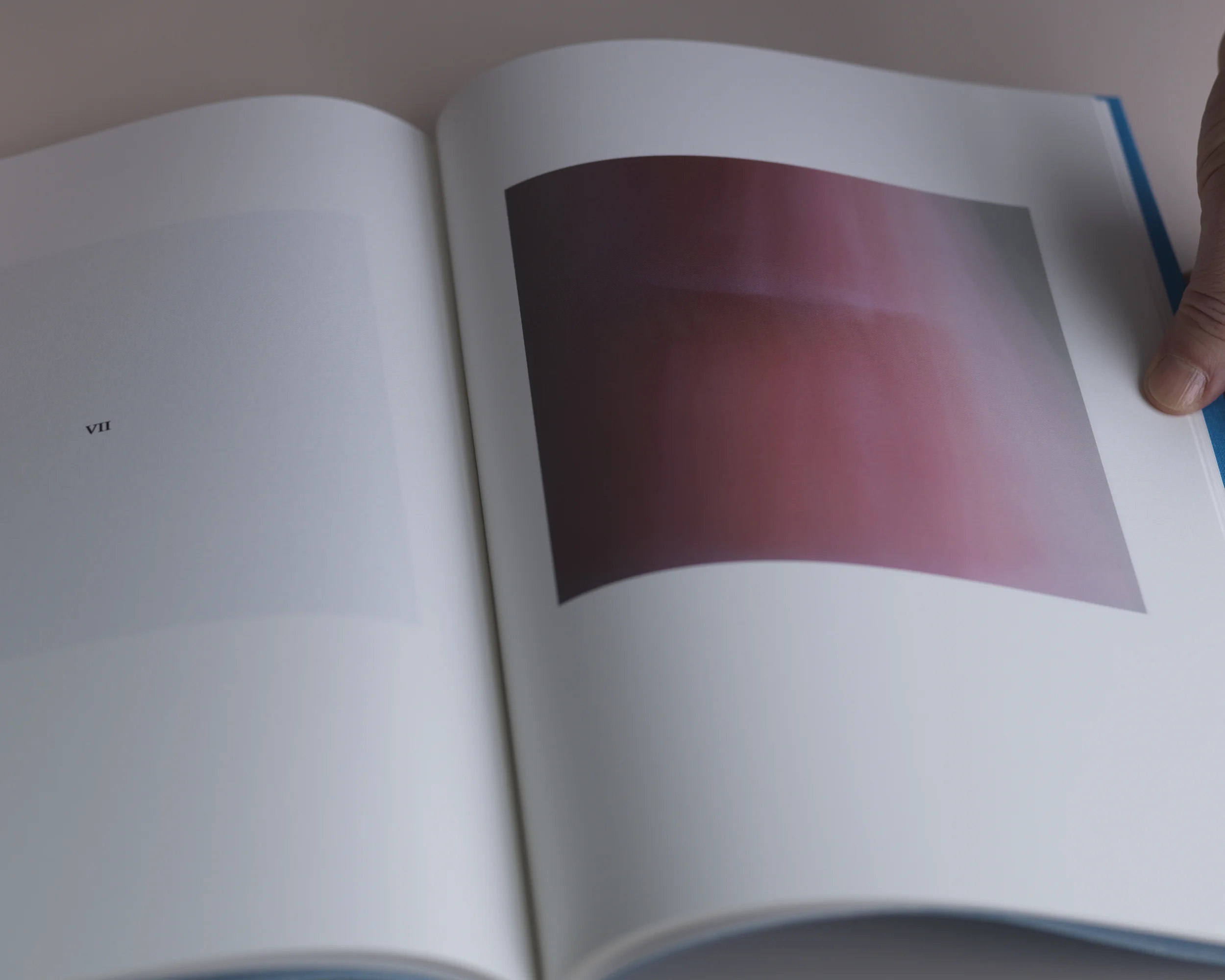 Still Life_0124.jpg