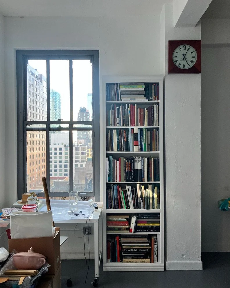 Window and bookcase