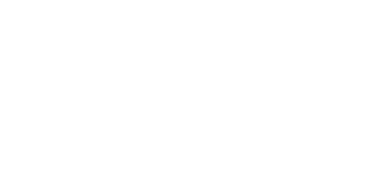 Aleya Lehmann Studio