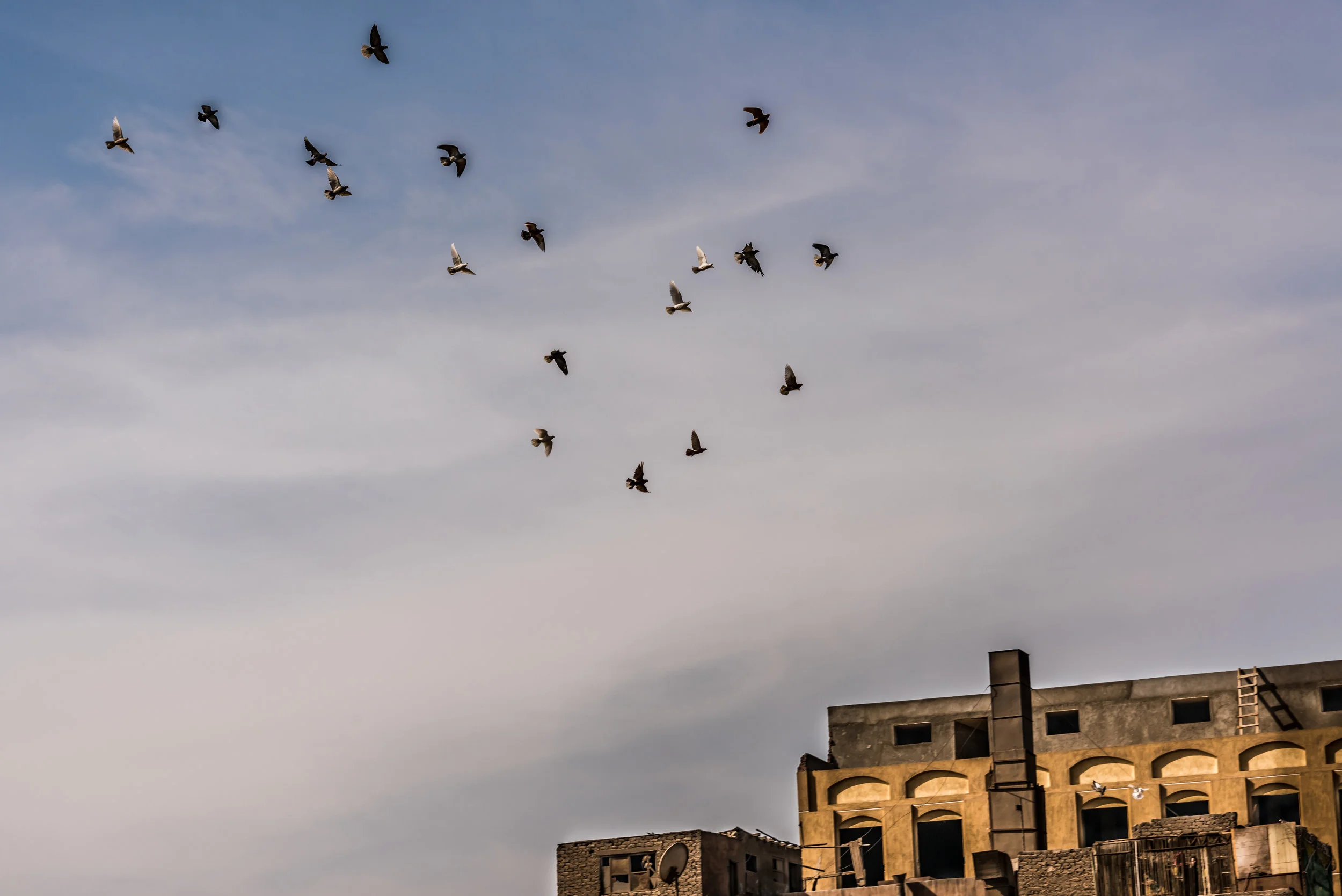 Flight