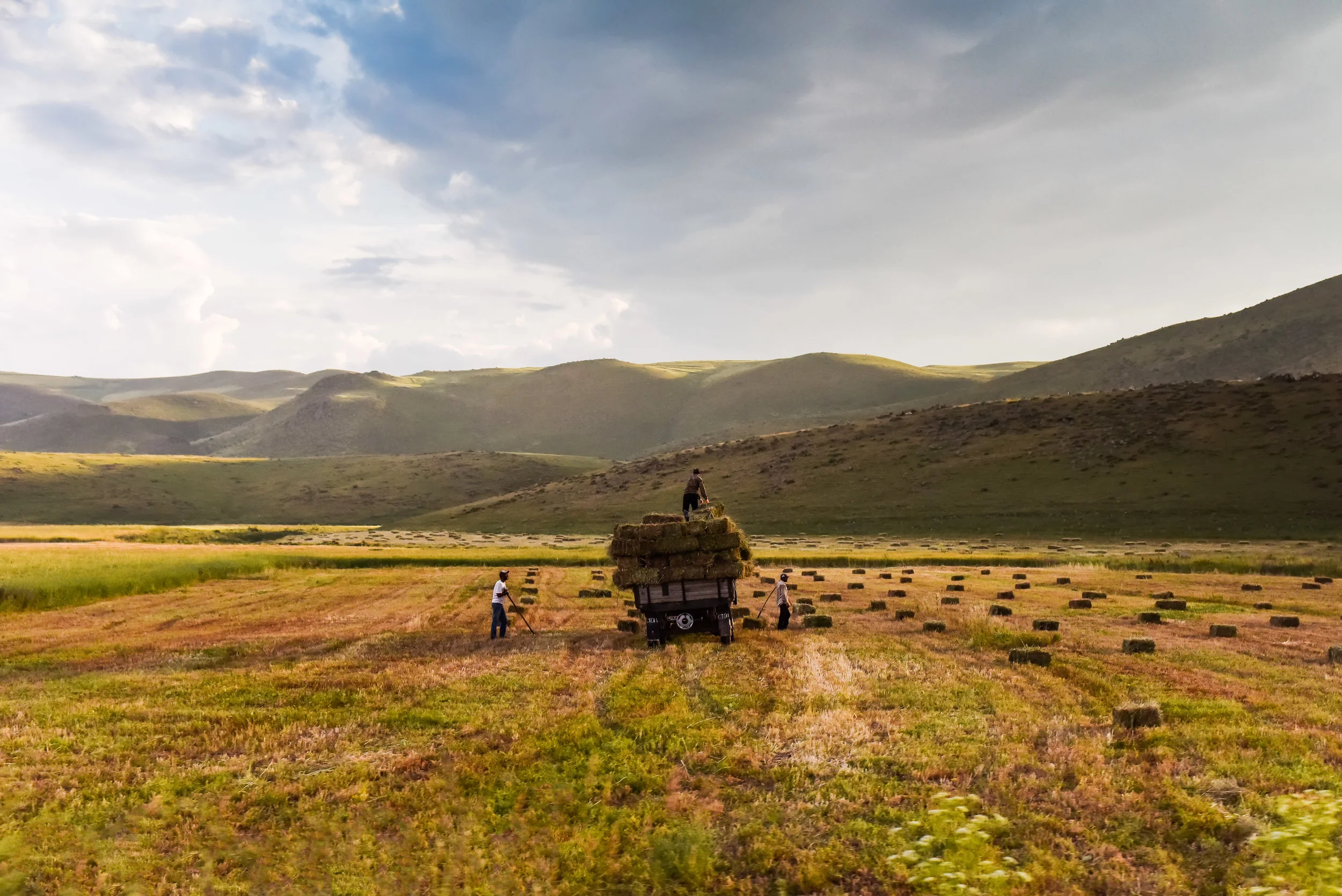 Hay Making