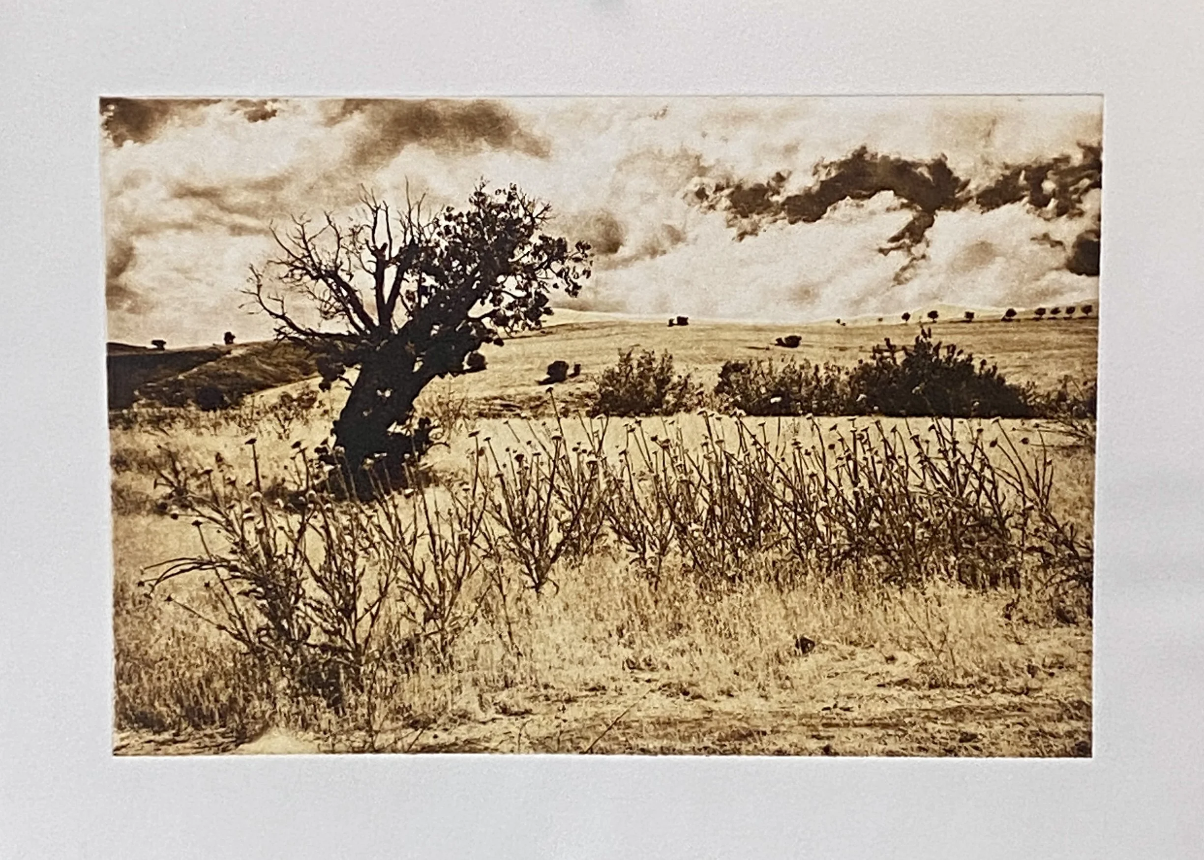 Forgotten By Time.JPG