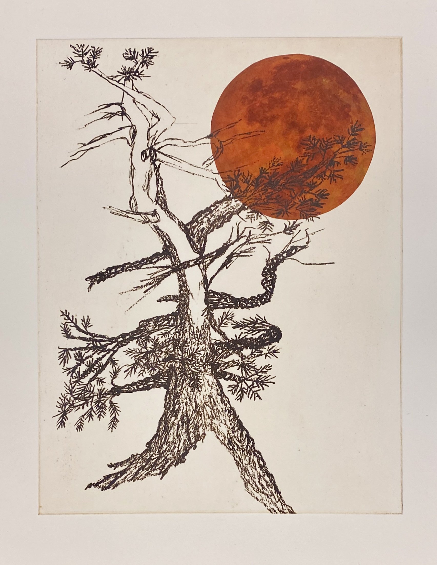 Harvest Moon Meditation 1.JPG