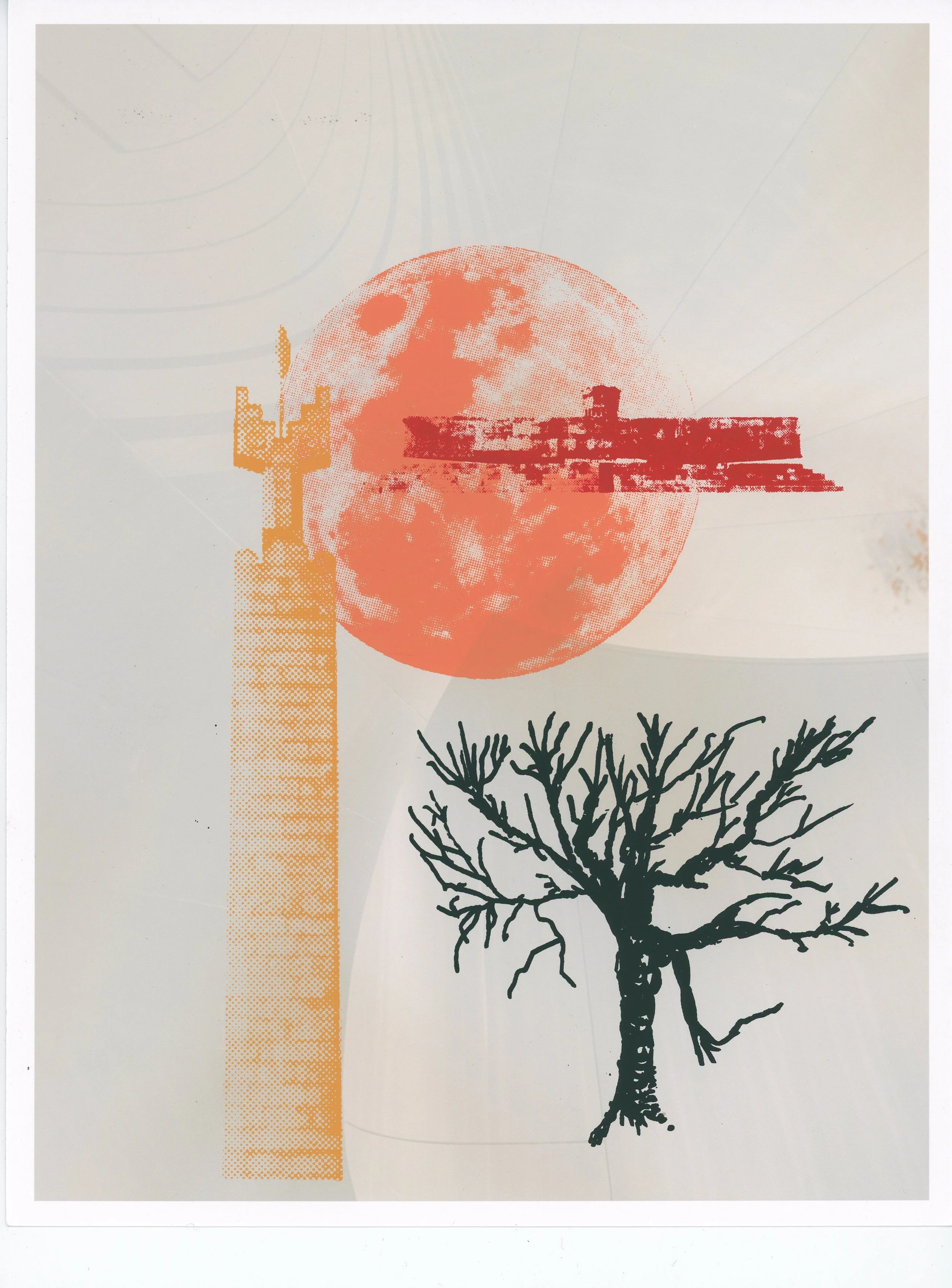 Resilence and Memory20241212_14070557.jpg