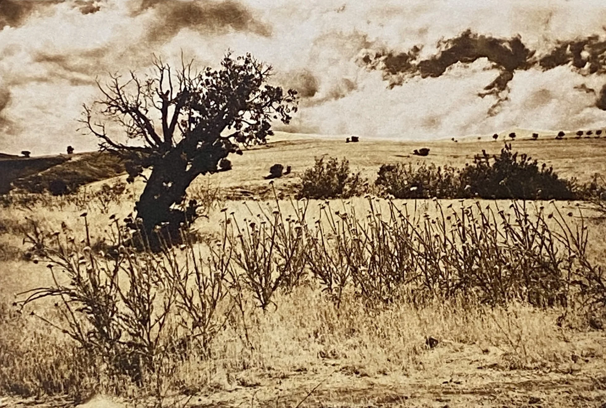 Forgotten By Time.jpg