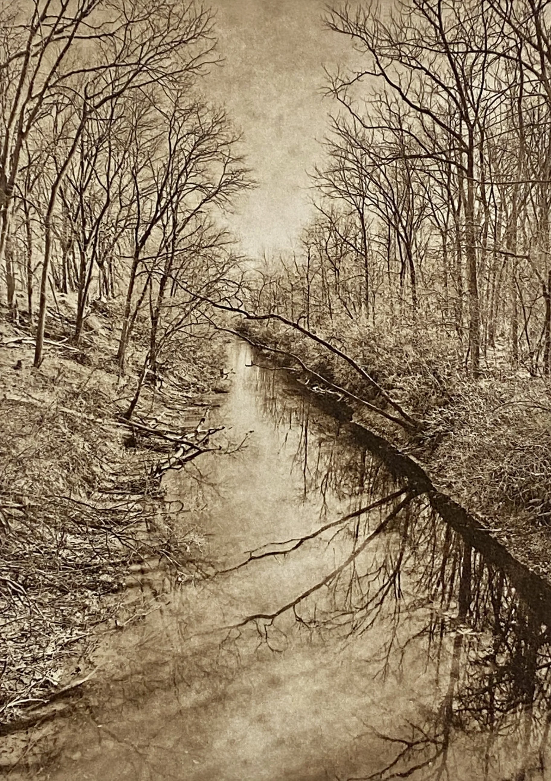 Just Before Spring.JPG
