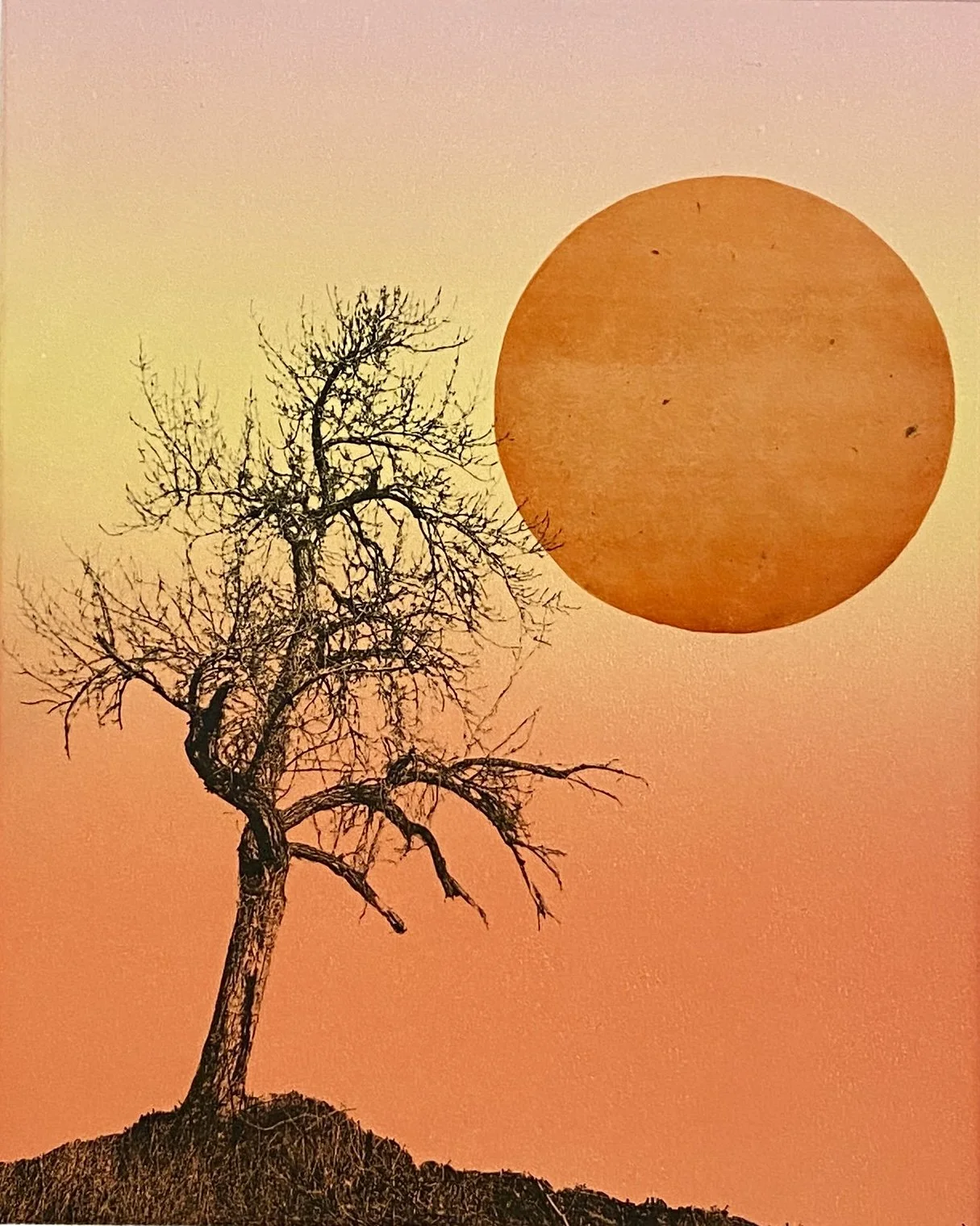 South Mesa Sunset 3.JPG