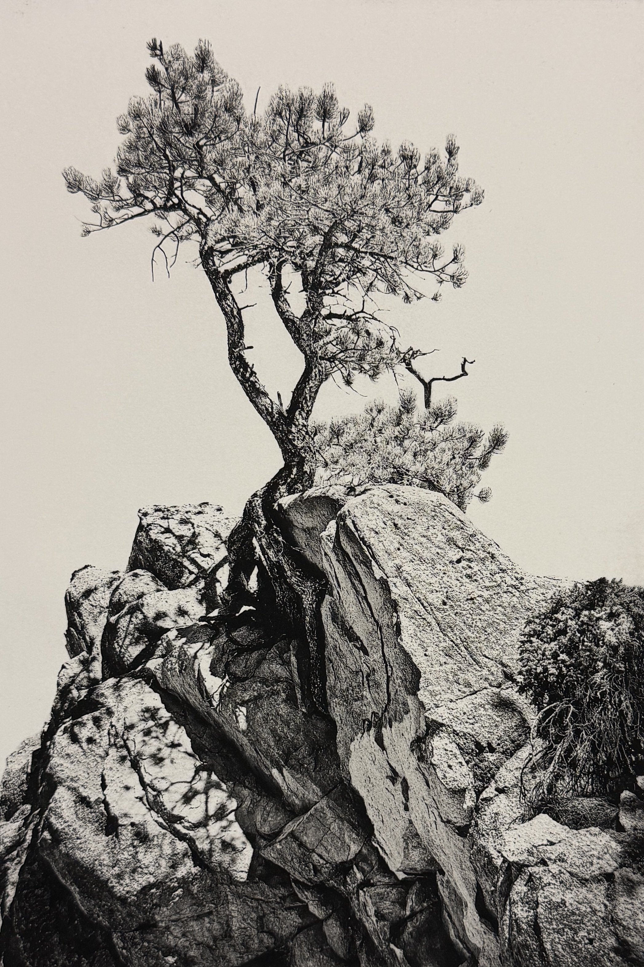 Enduring Form 11 x 16.jpg