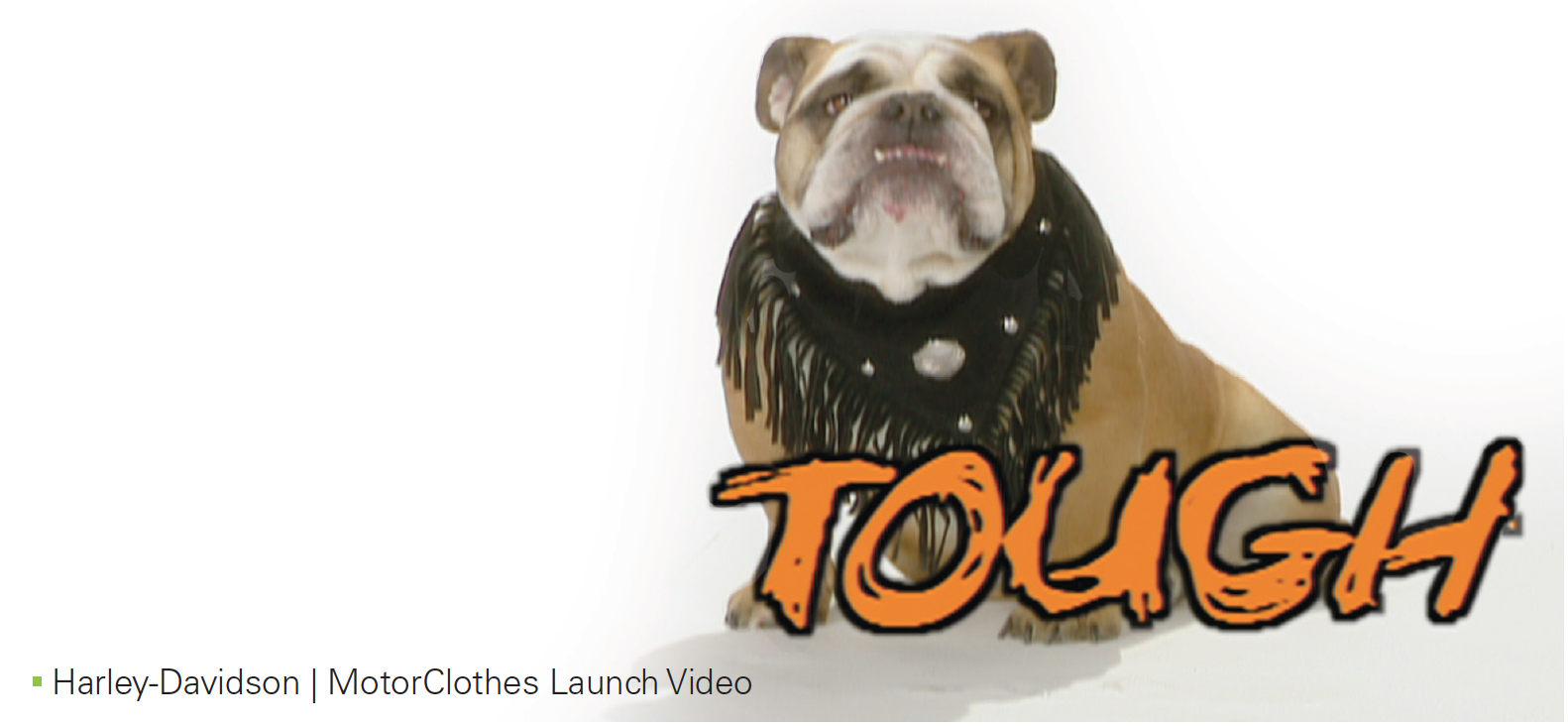 Harley screen grab.png