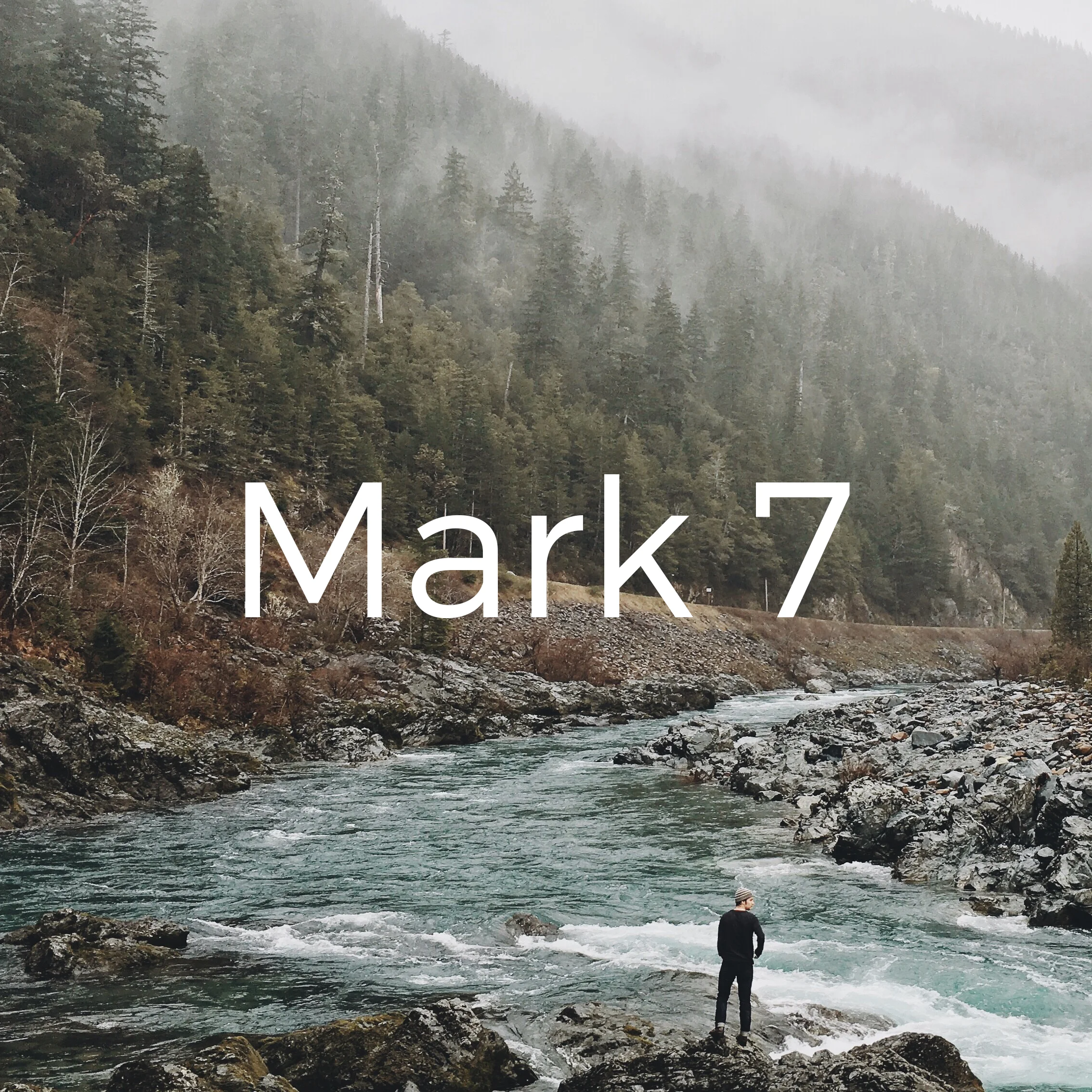 Mark 7.jpg