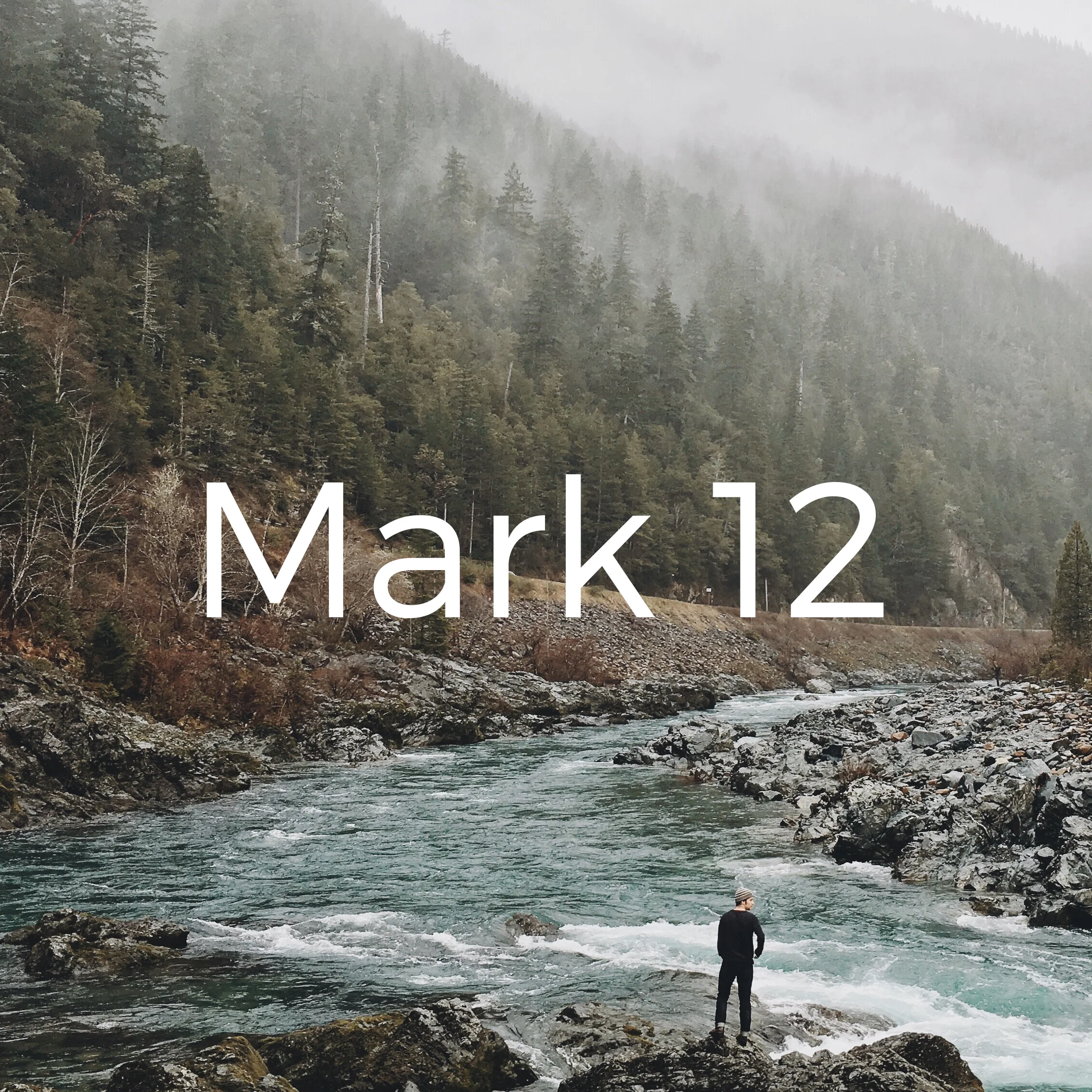Mark 12.jpg