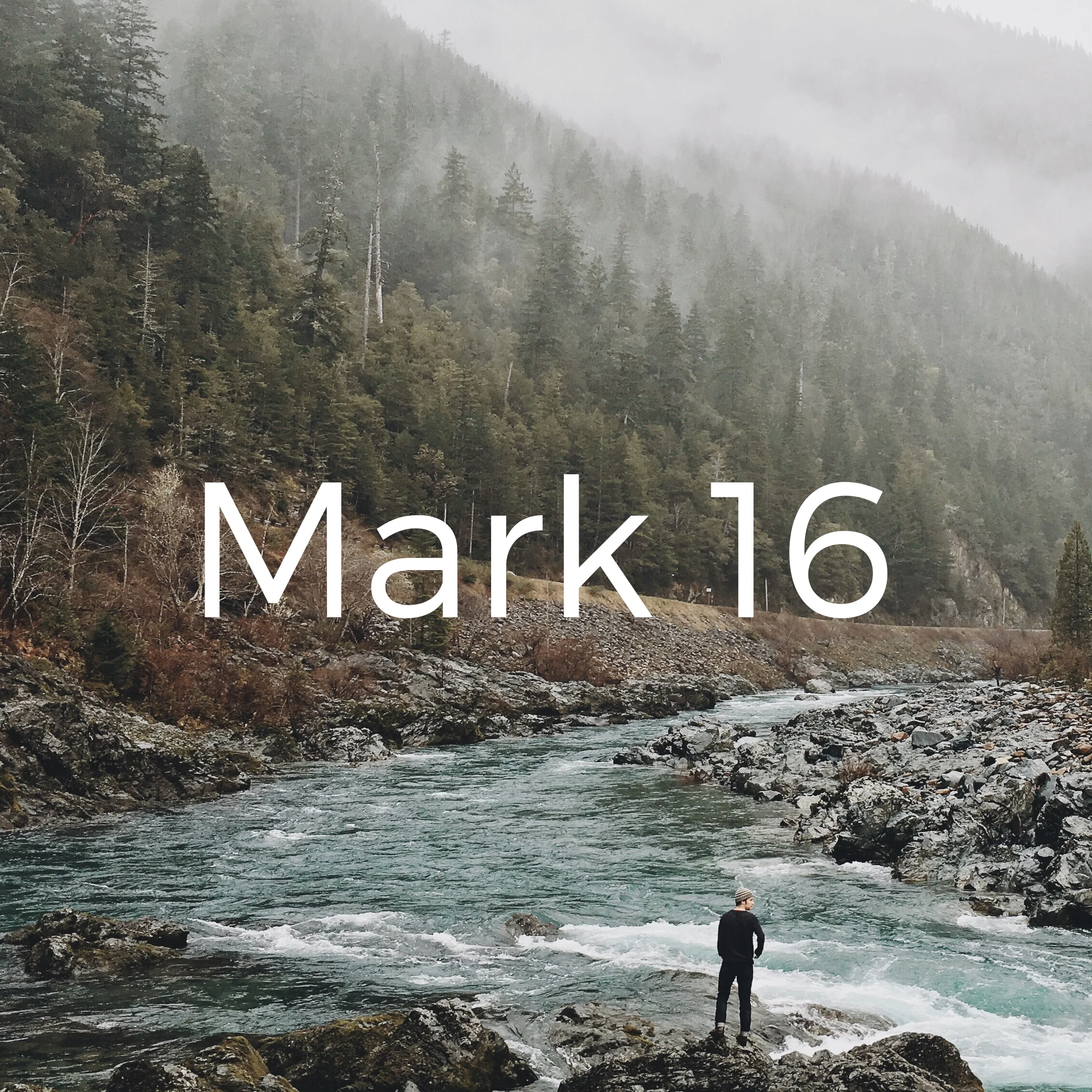 Mark 16.jpg