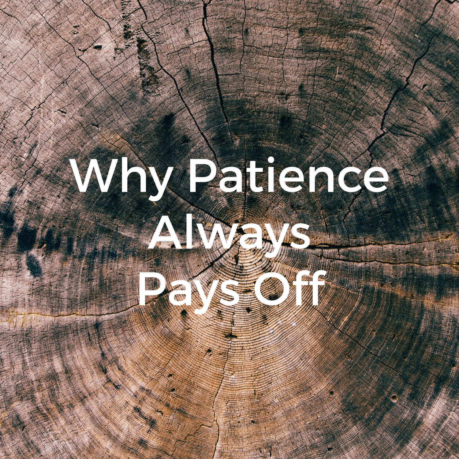 Why Patience Always Pays Off