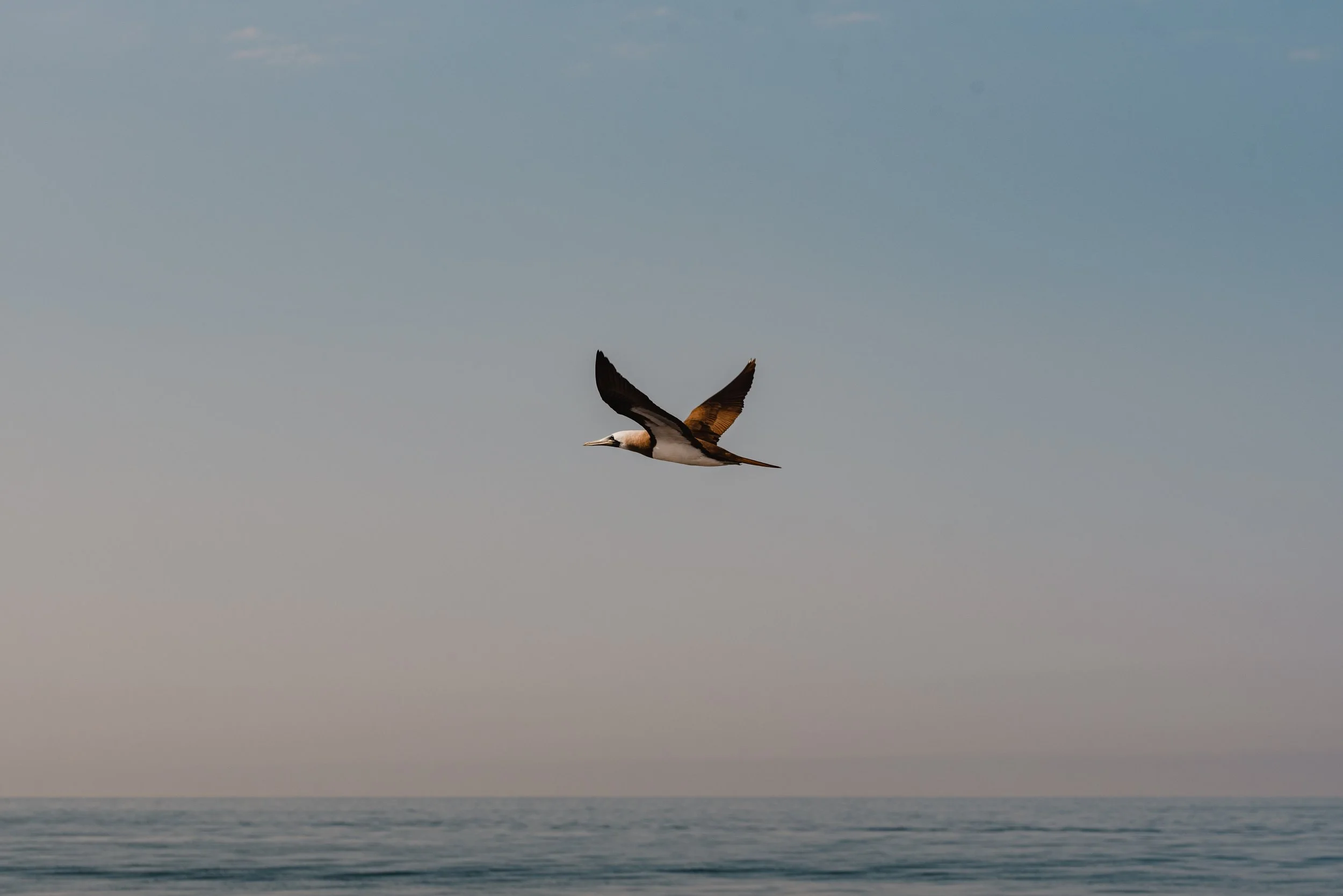 Vallarta 2021-24.jpg