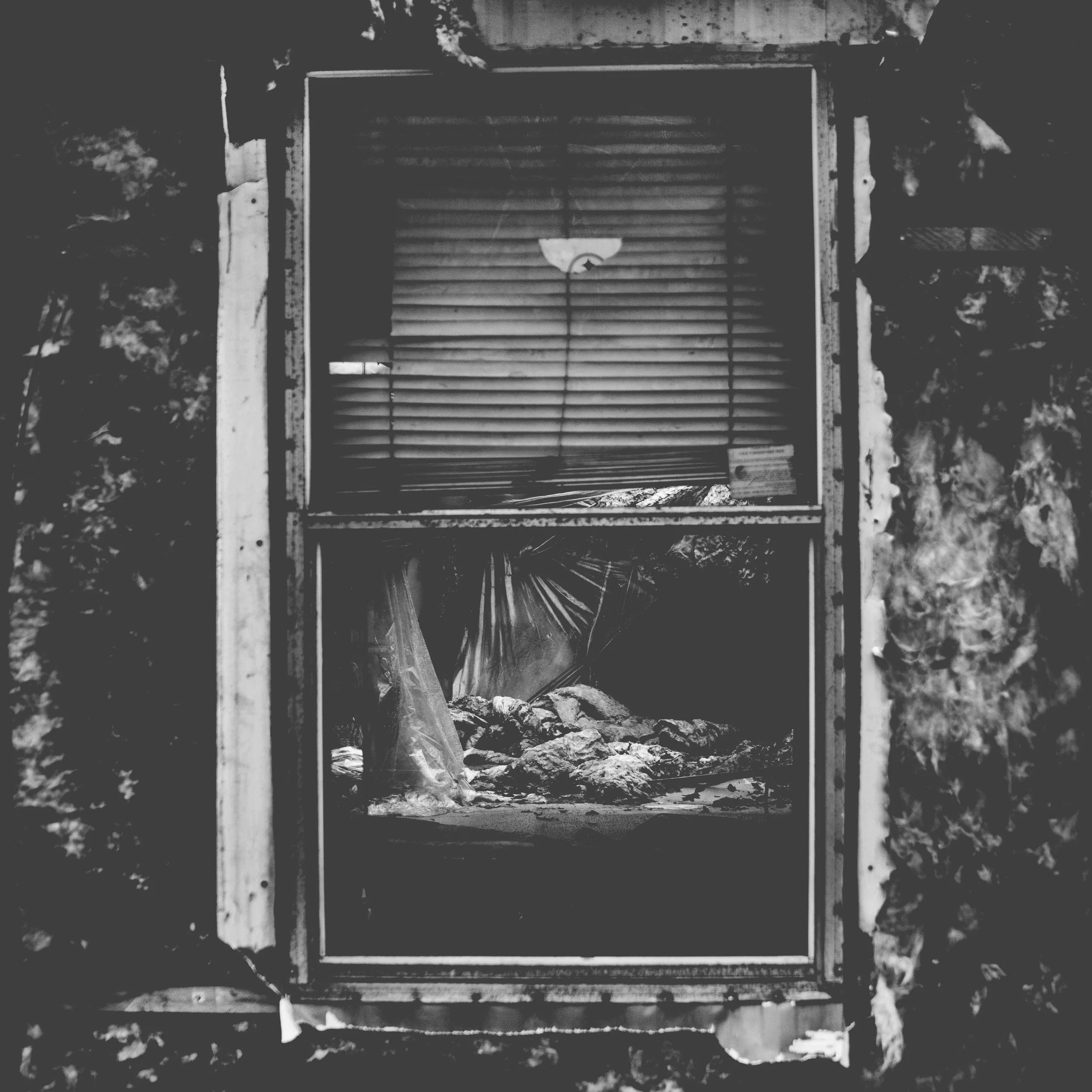 window.jpg