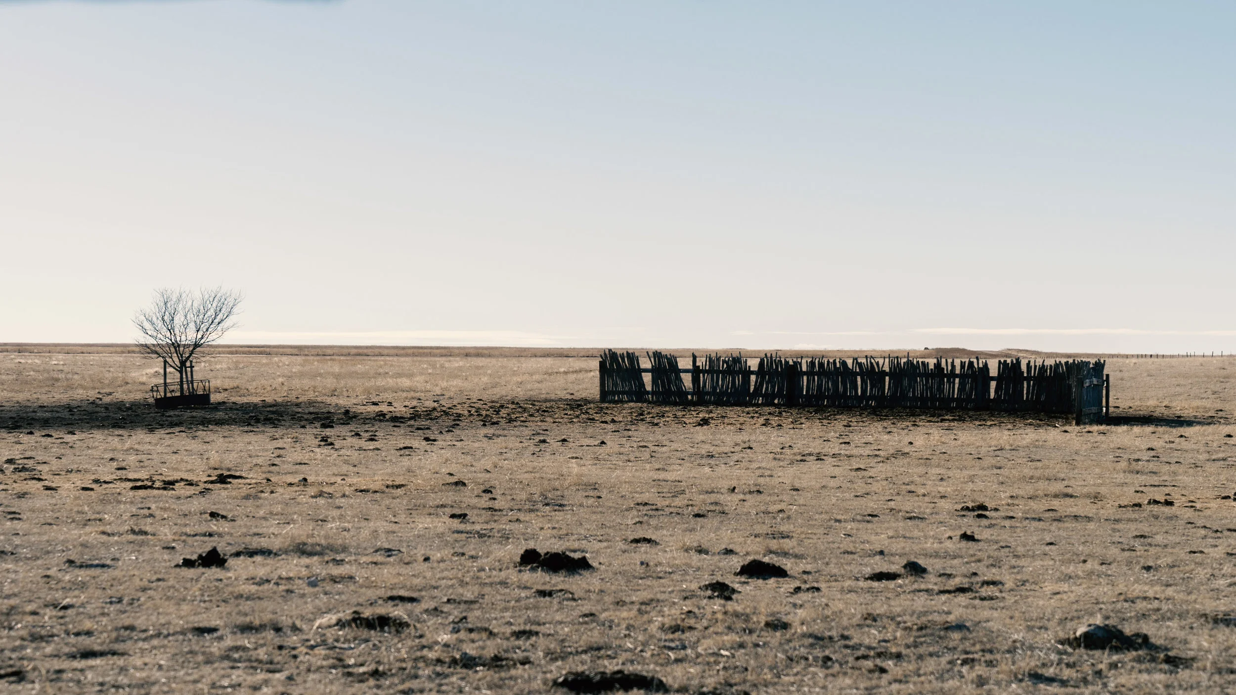 fence.jpg