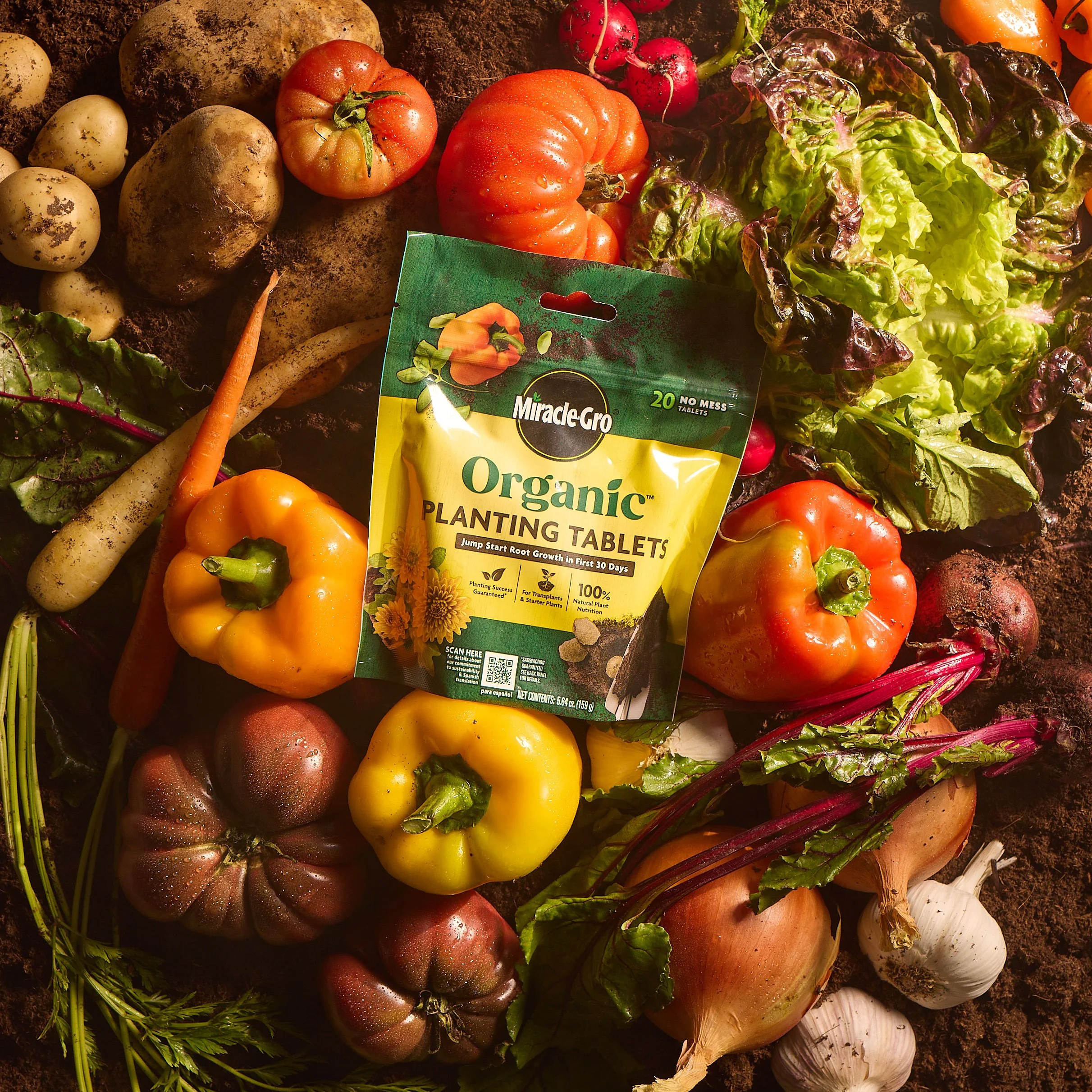 Scotts Test 20261176.jpg