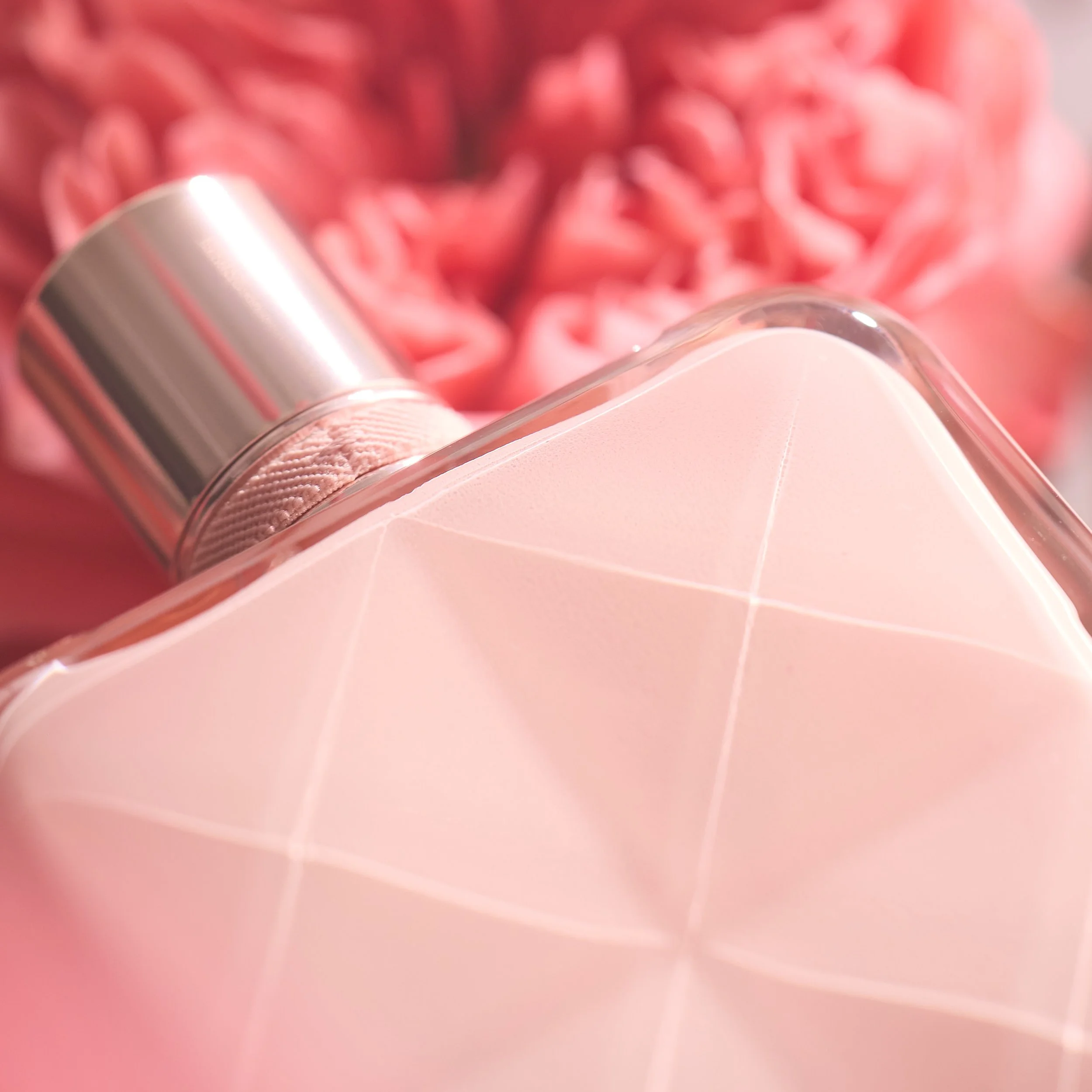 Scotts Test 20261269.jpg