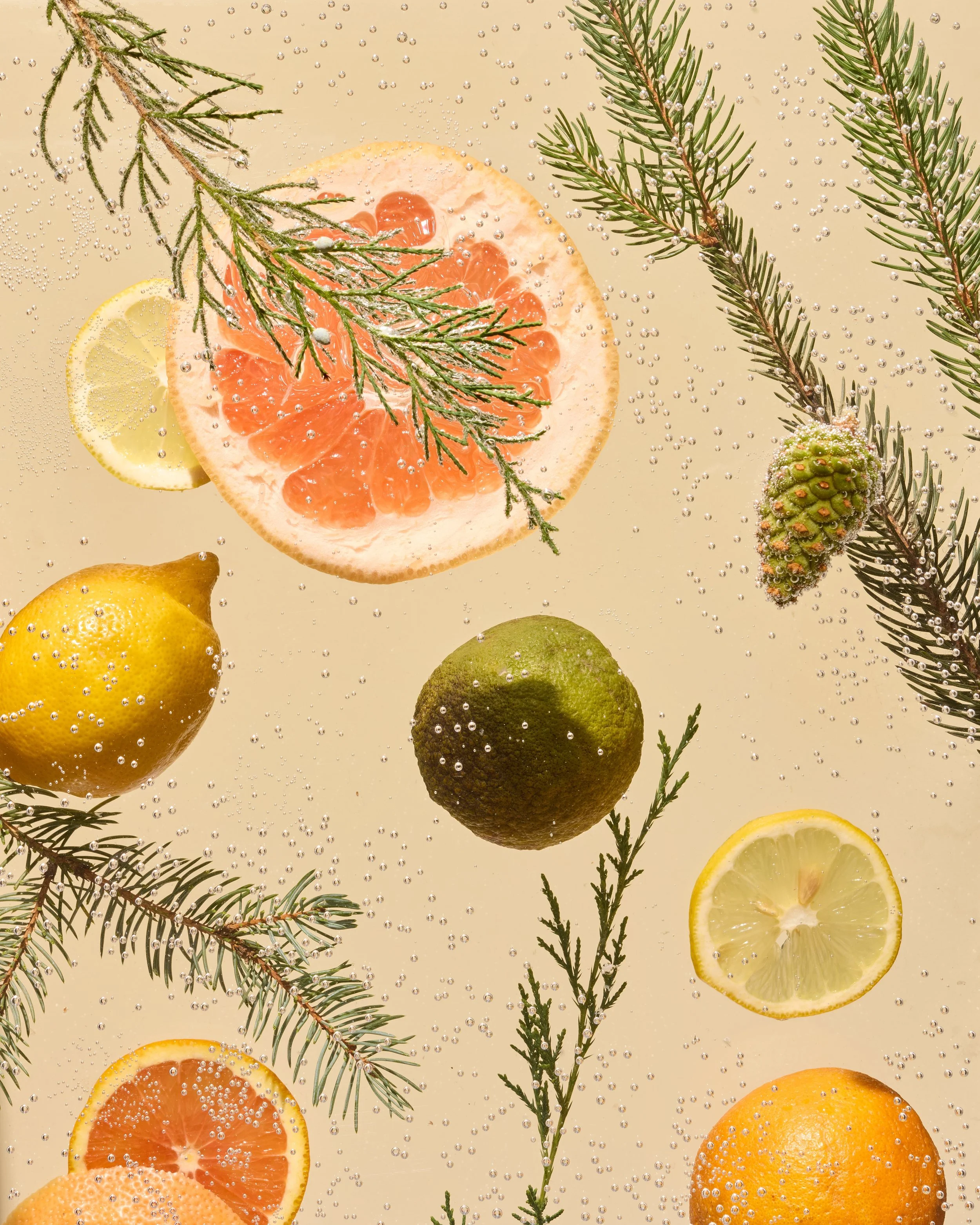 GASC2024_essentialblend_CitrusPineFoaming__187_0139 copy.jpg