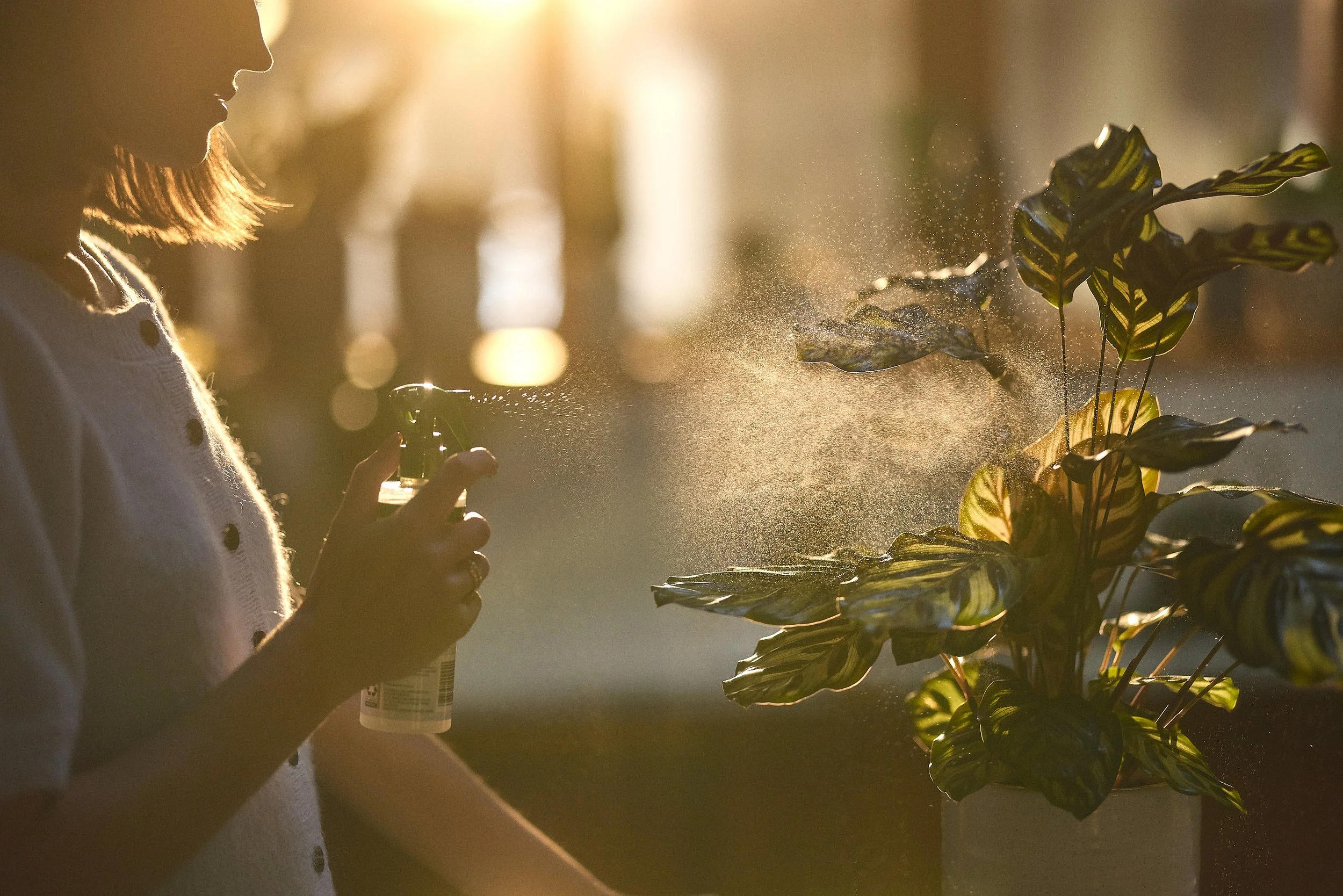 Kitchen_2753 copy.jpg