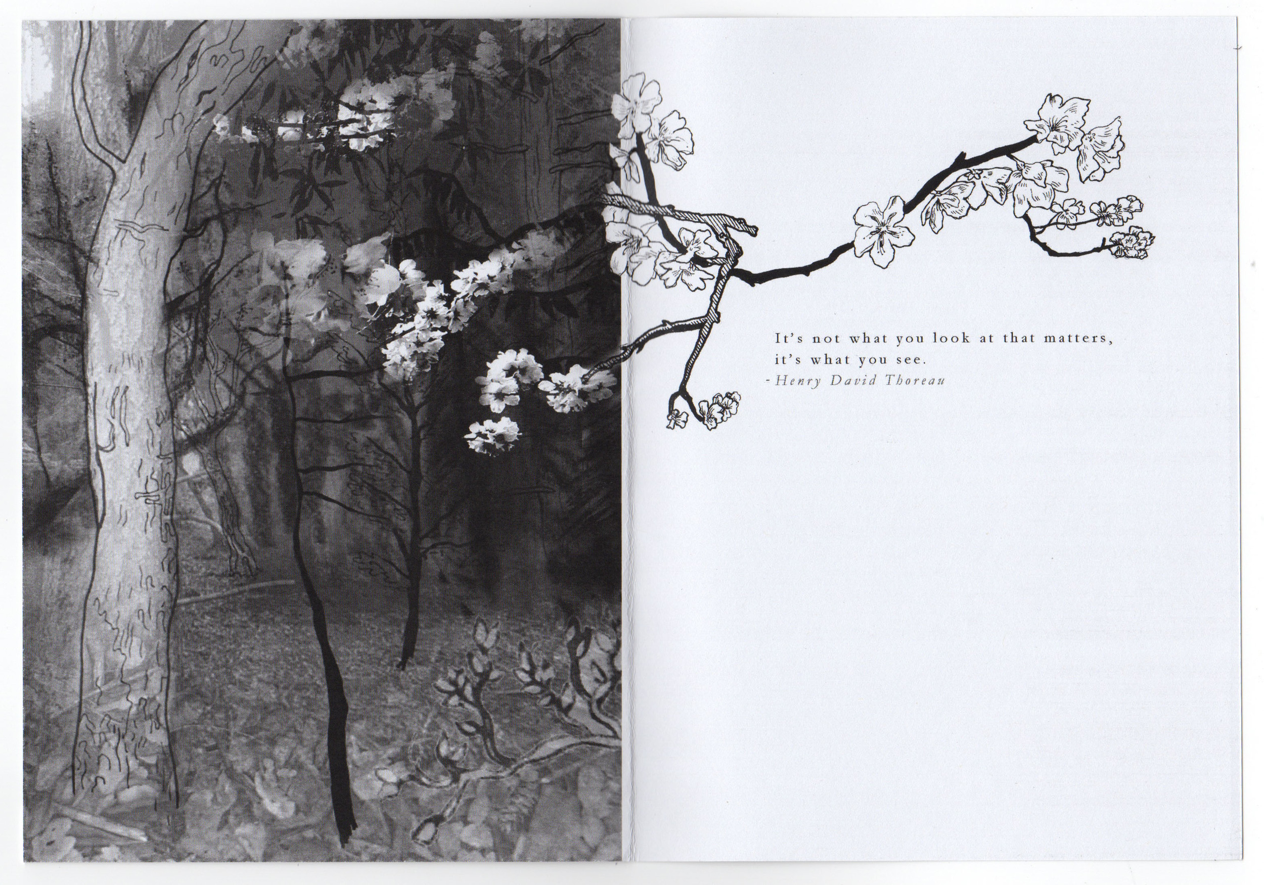 Thoreau Interior
