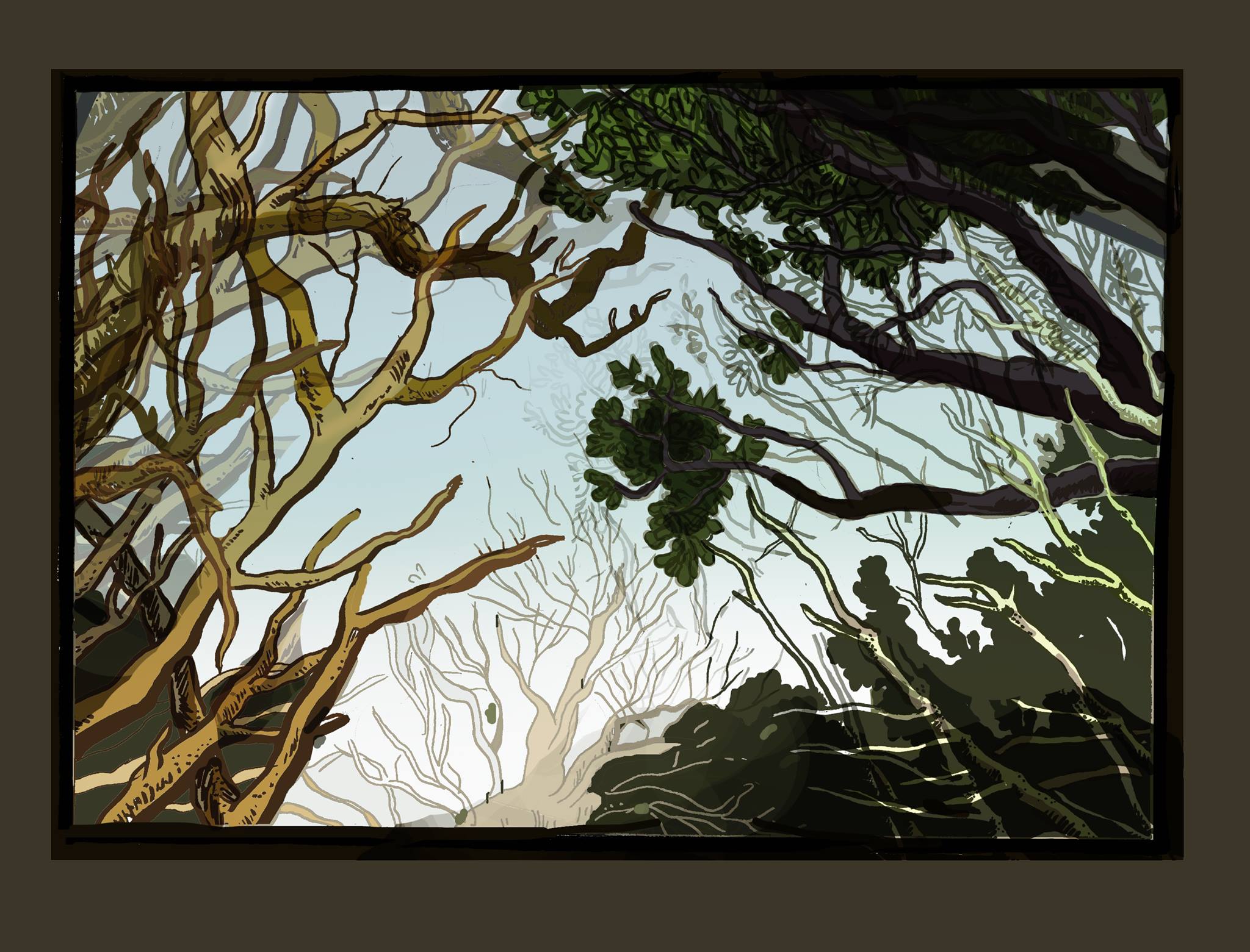 Looking up through bushes and brambles