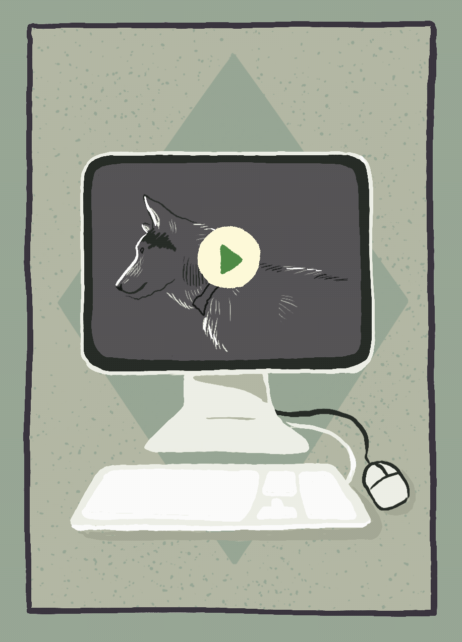 animation_green.gif