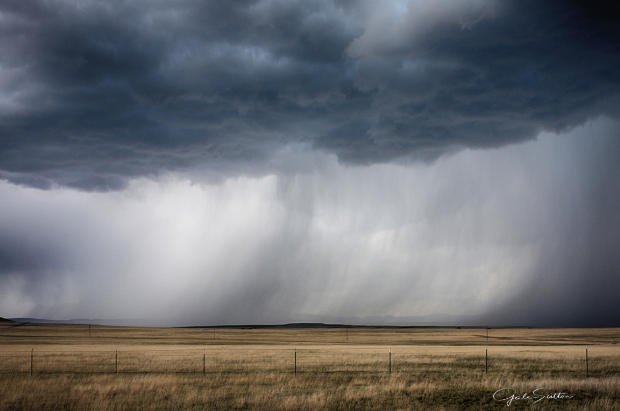 Monsoon Show at MoonShadows Art