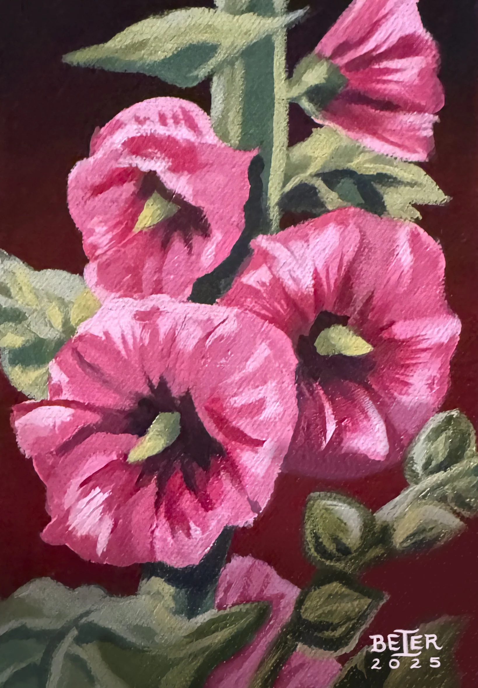 Hollyhock, 5"x7" 🔴 SOLD