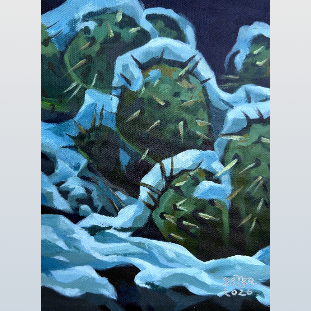 Blanket_Full Height.png