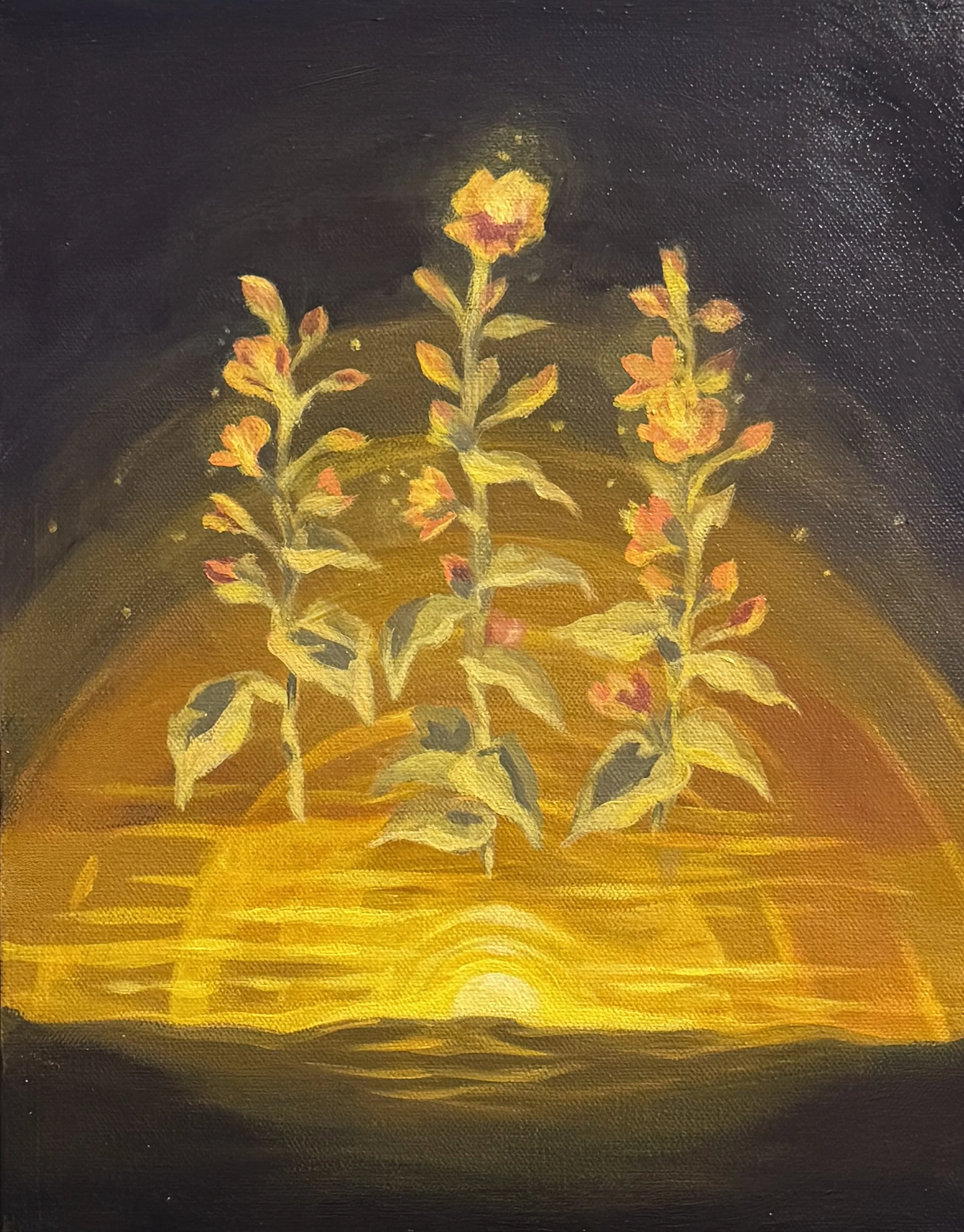 Embers, 11"x14"