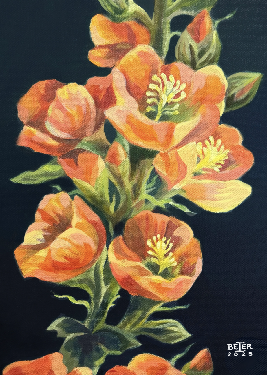 Globemallow, 11"x14" 🔴 SOLD 