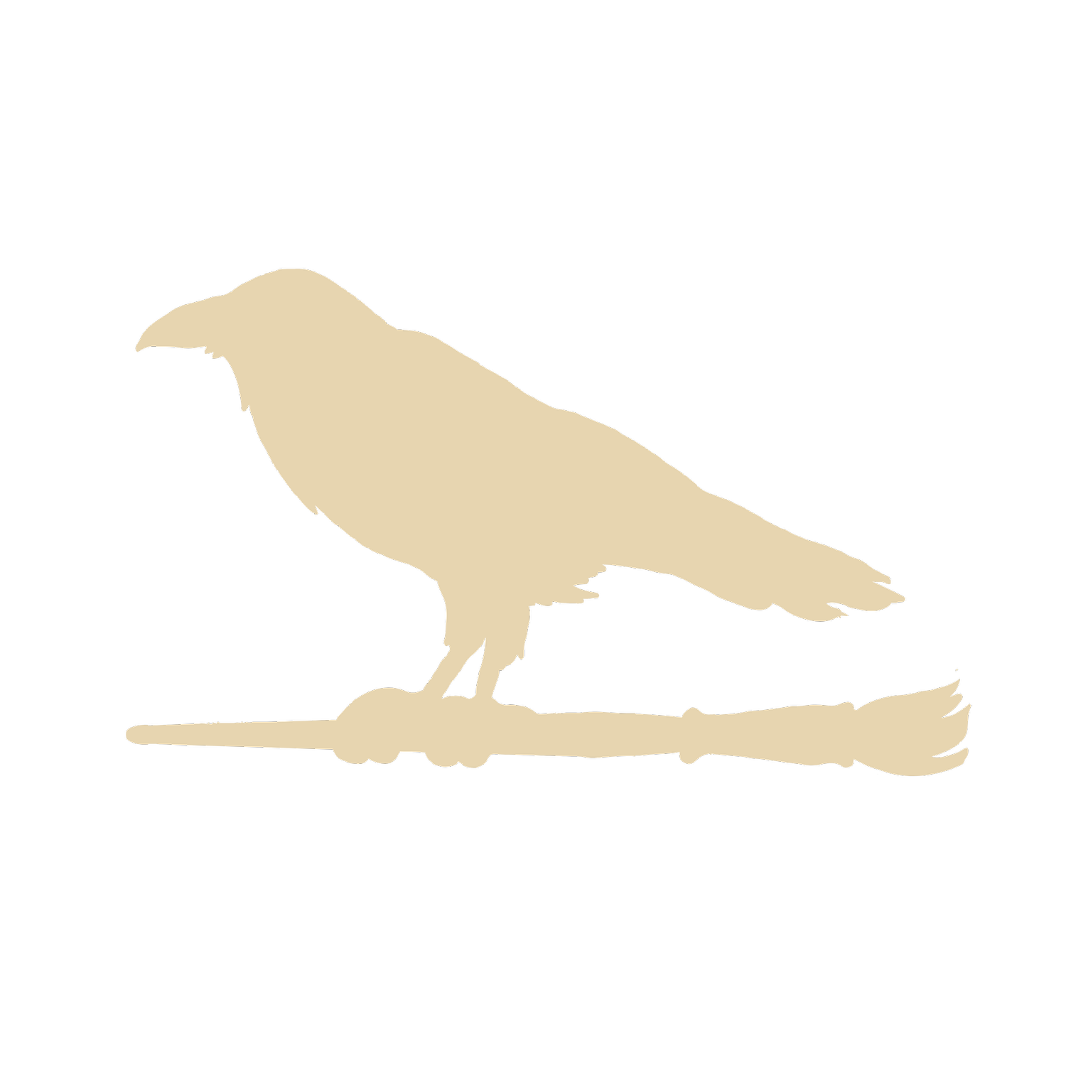 Elizabeth Beier | Painting the Southwest