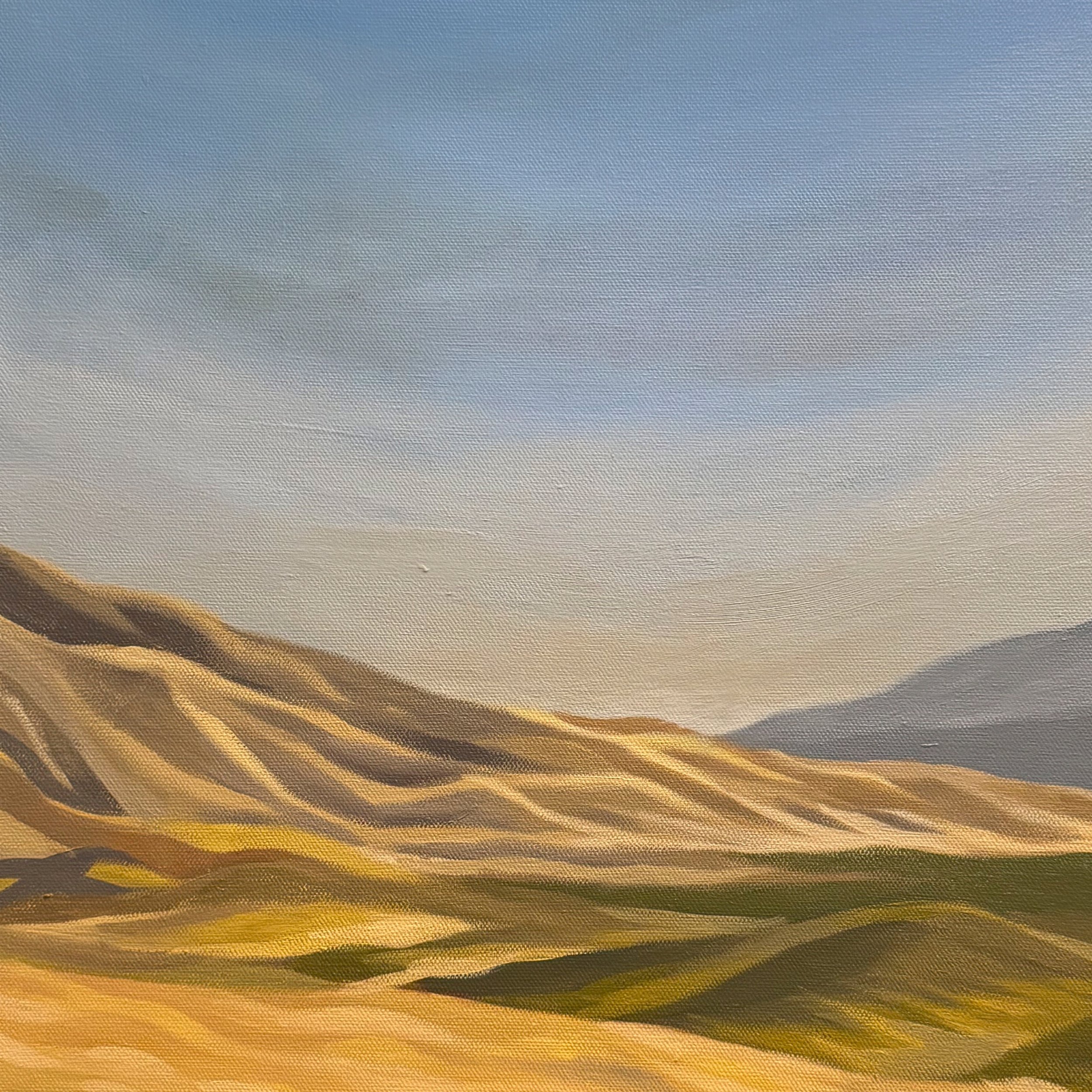 Daylight_Detail_v02.jpg