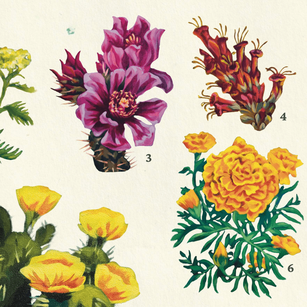 Flowers NM poster detail.png