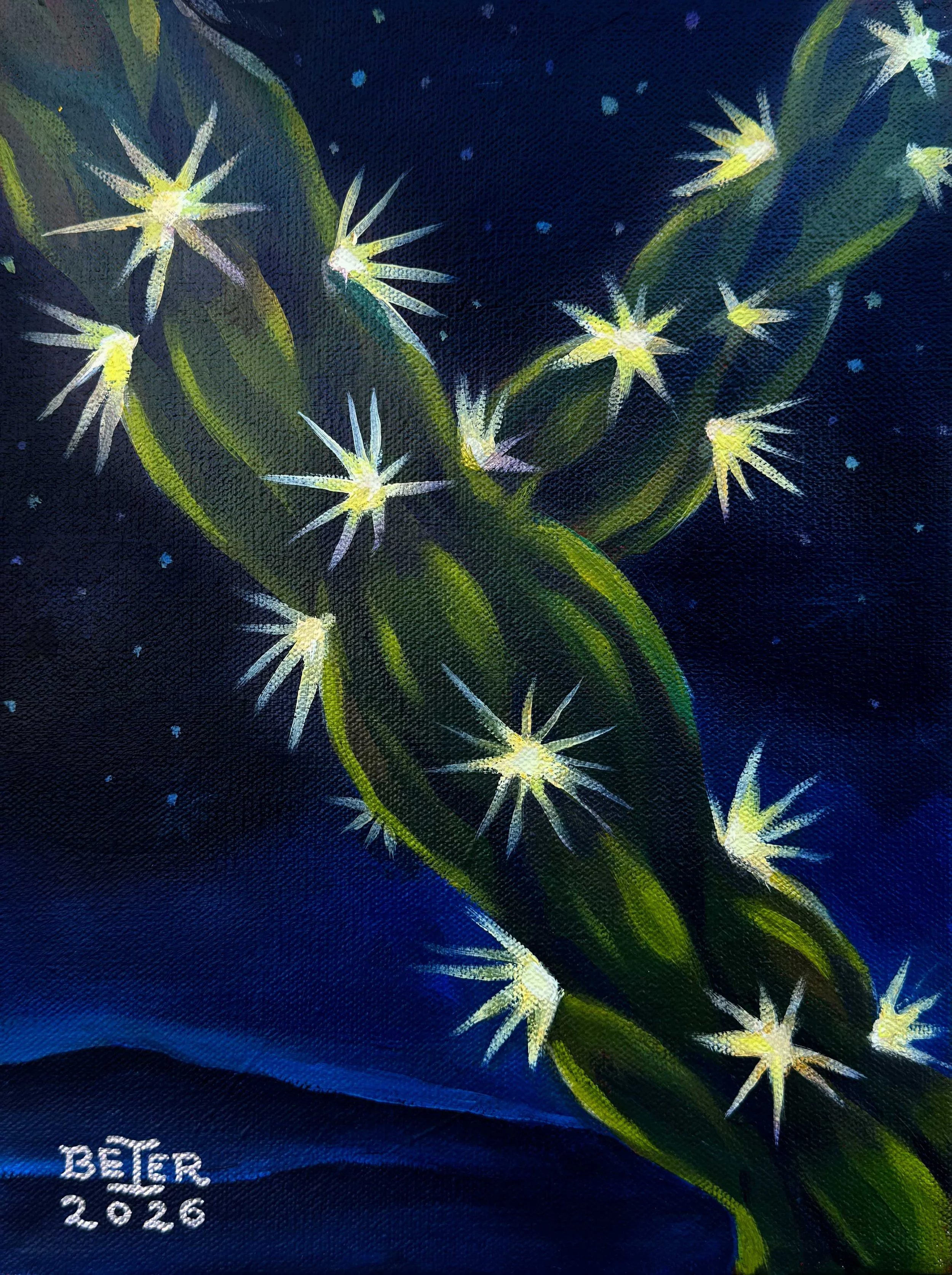 Desert Stars, 9"x12" 