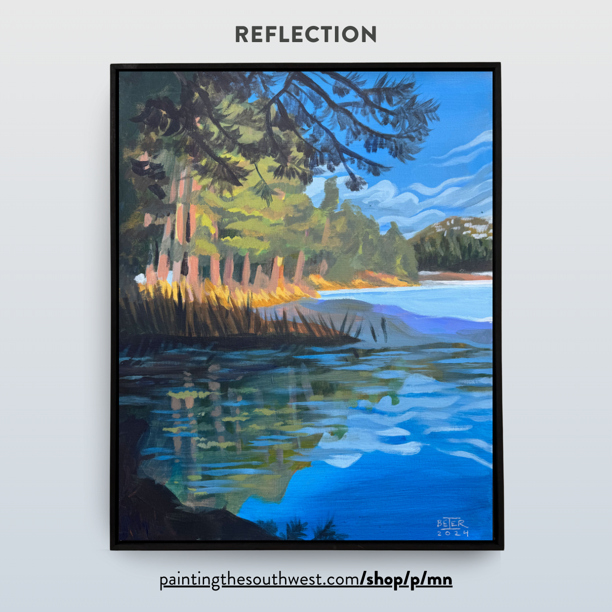 MN_Reflection_v01.png