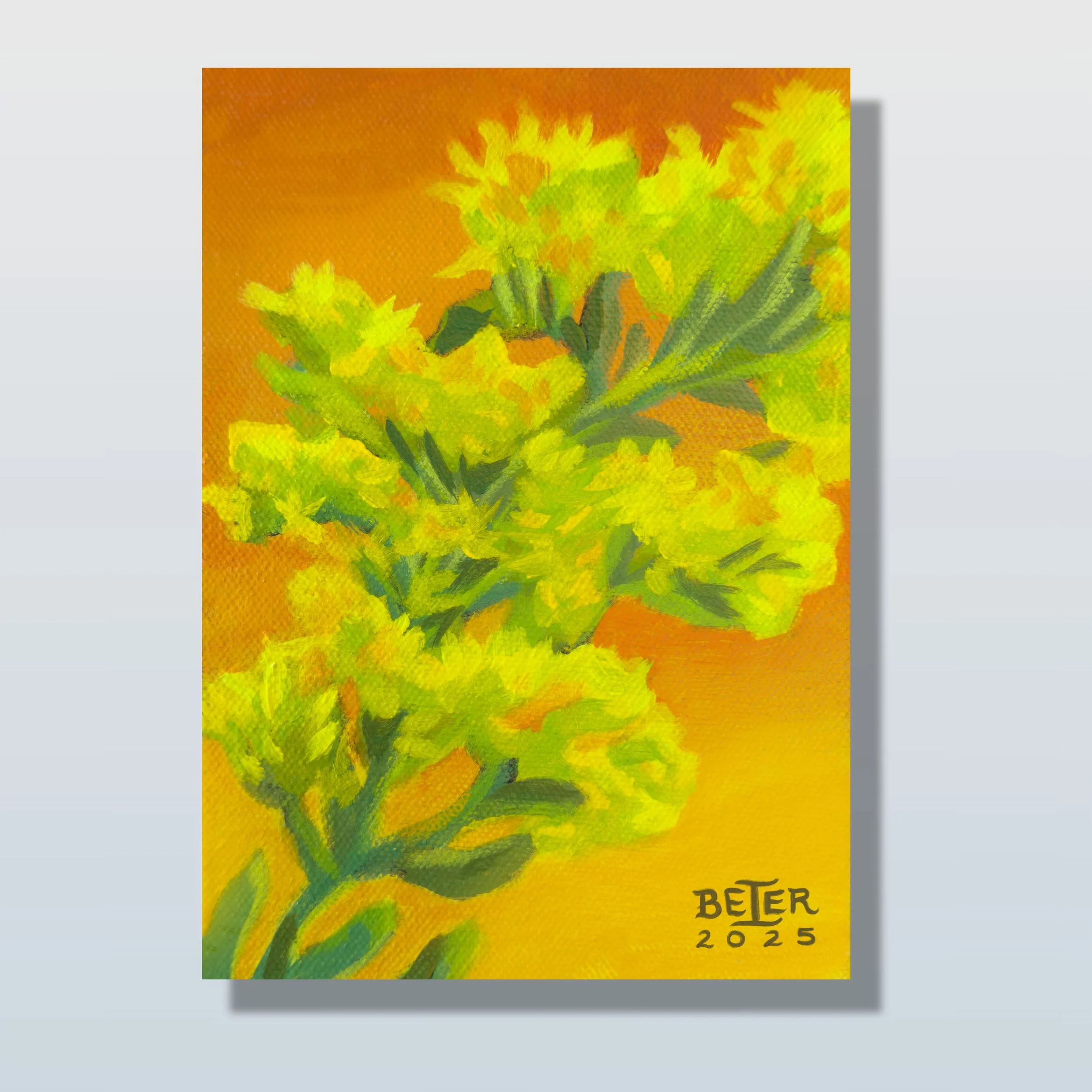 Goldenrod.jpg