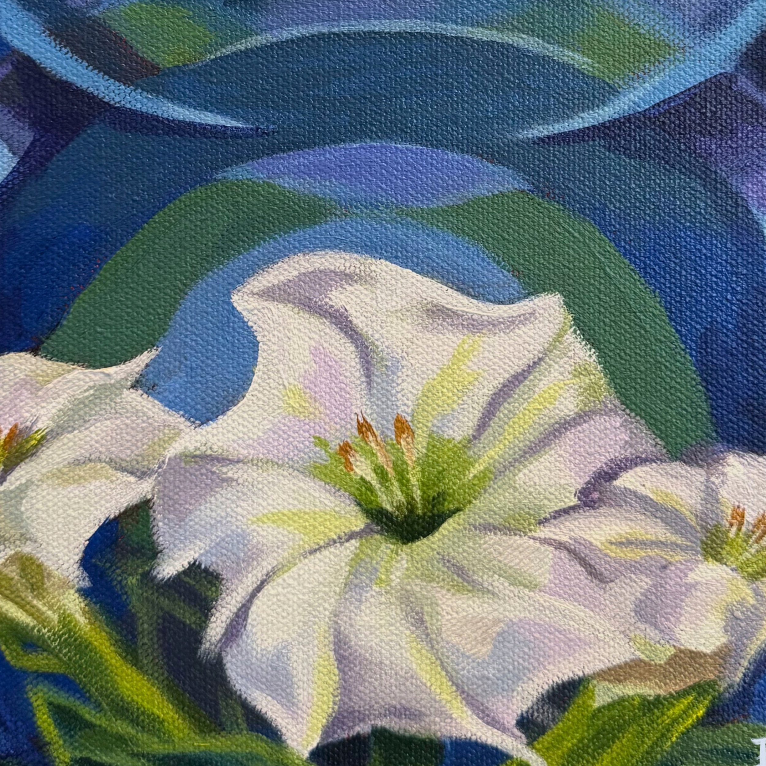 Midnight_Detail_v02.jpg